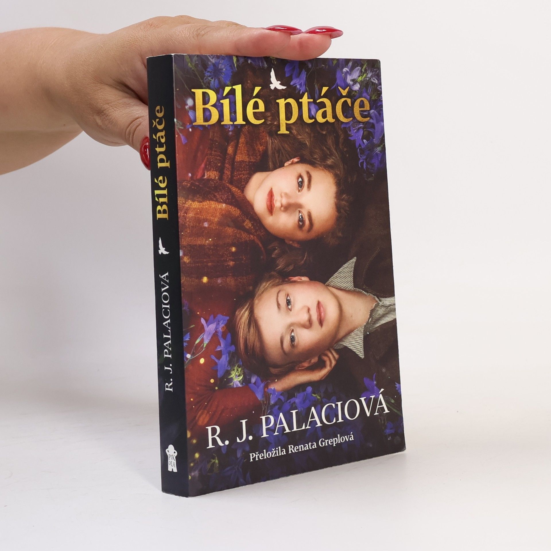 Raquel J. Palacio Bílé ptáče