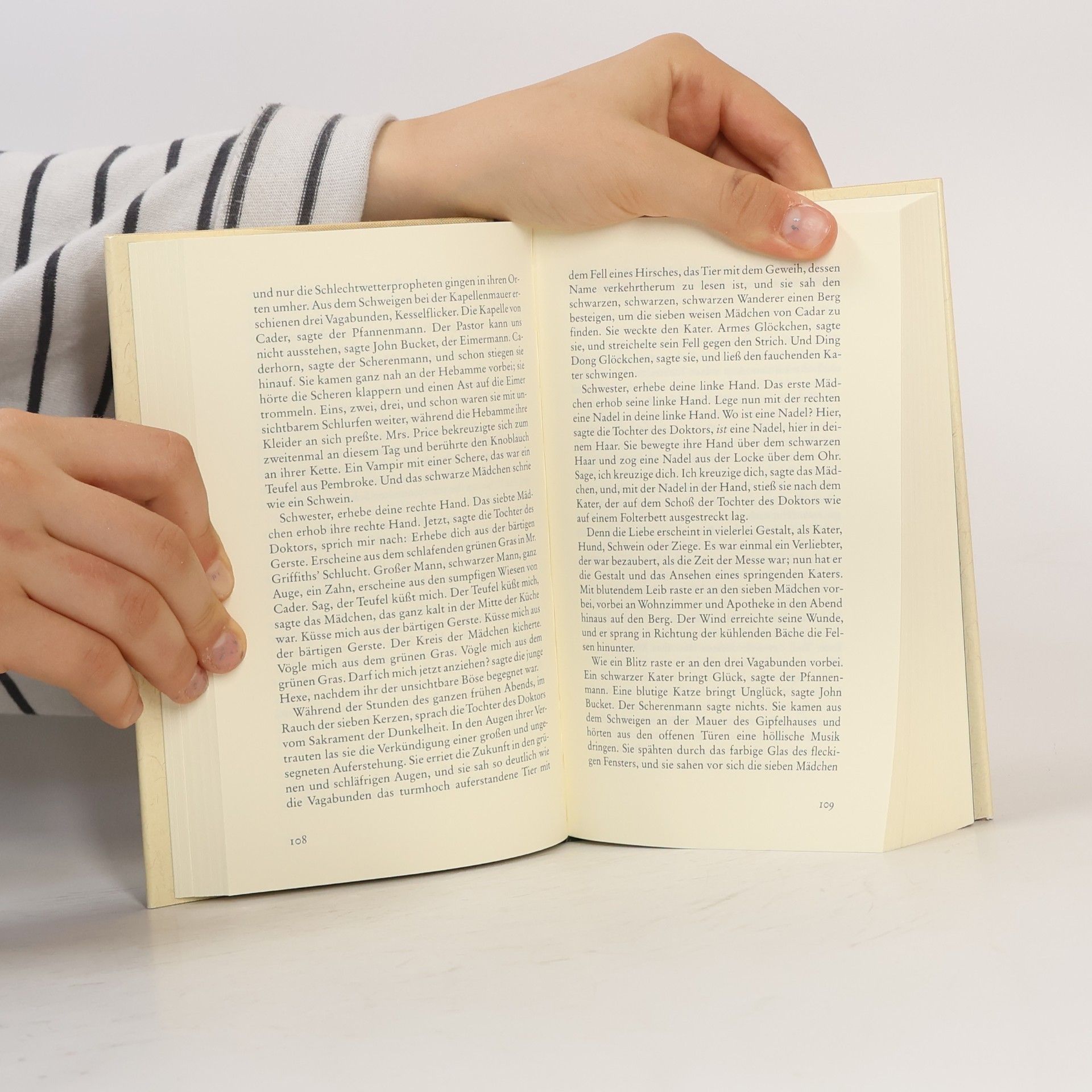 Dylan Thomas Die Befragung des Echos