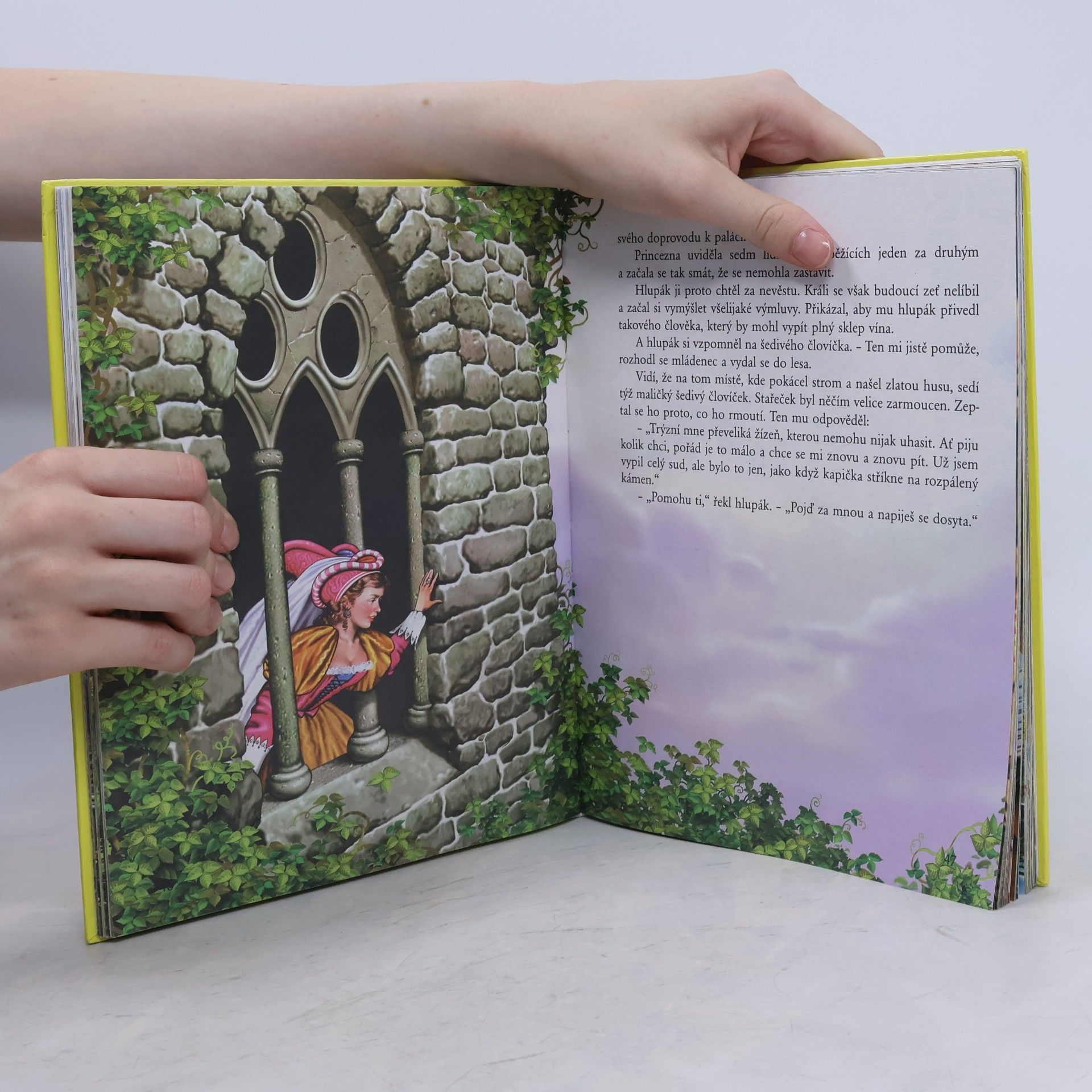 Jacob Grimm Pohádky bratří Grimmů
