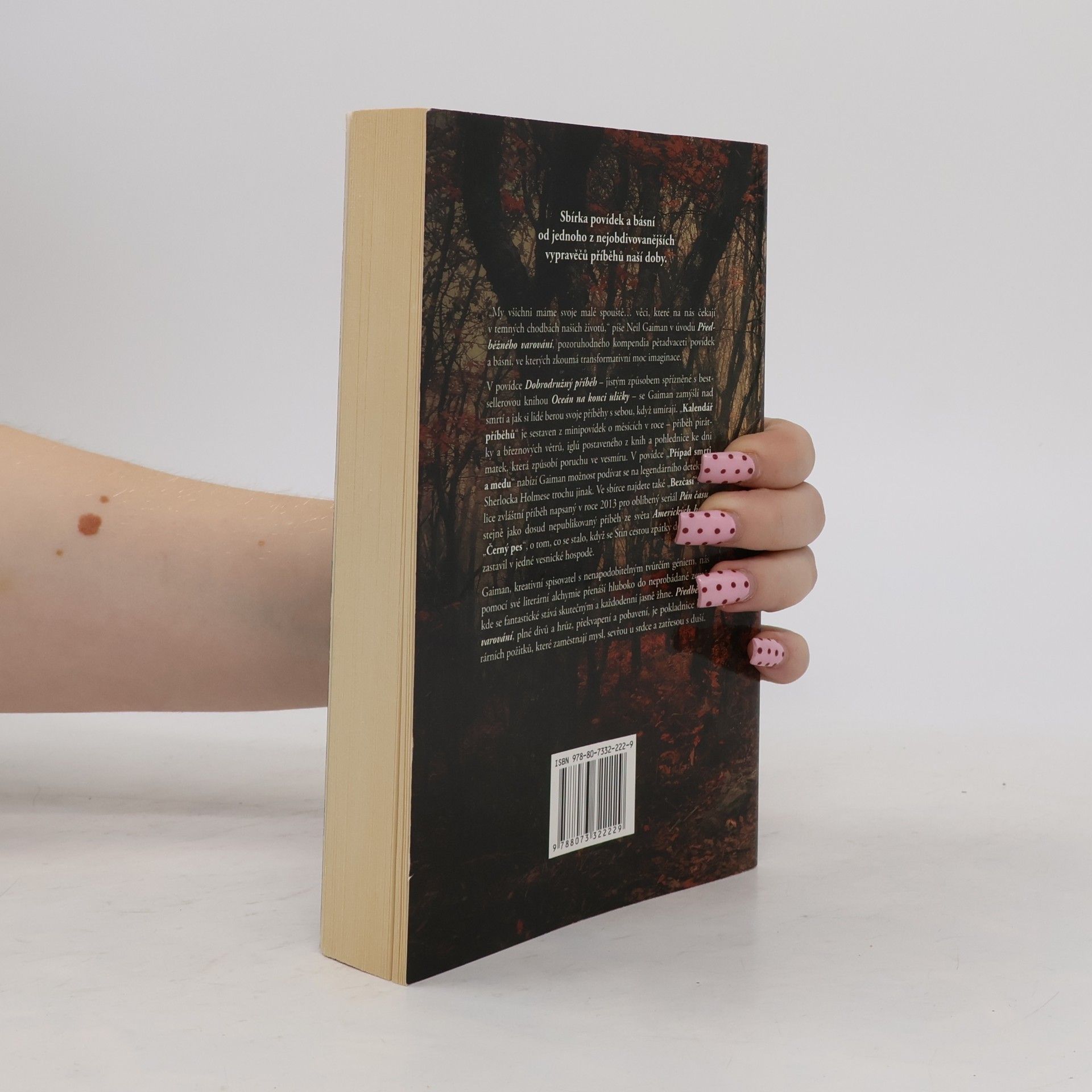 Neil Gaiman Předběžné varování : krátké fikce a turbulence
