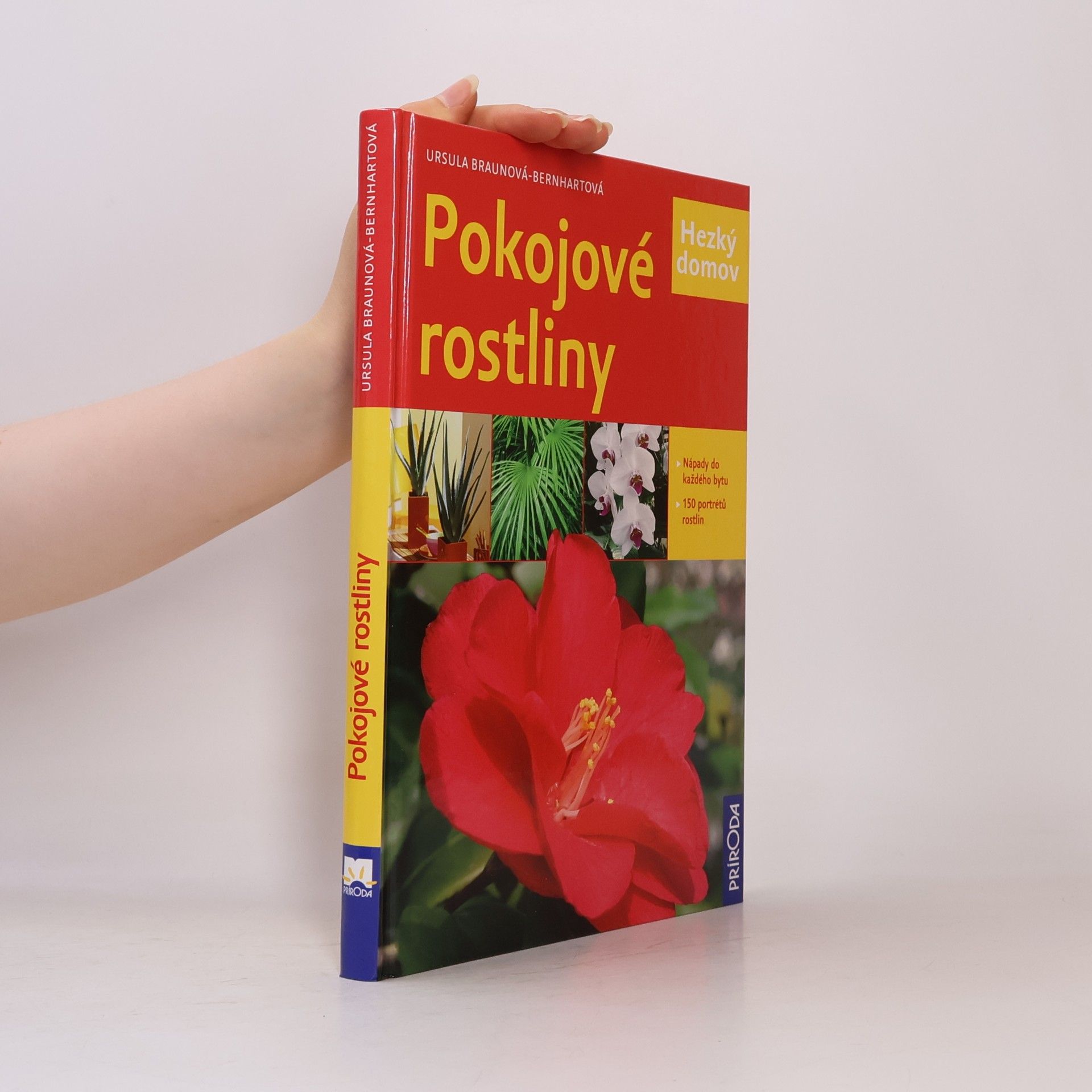 Pokojové rostliny