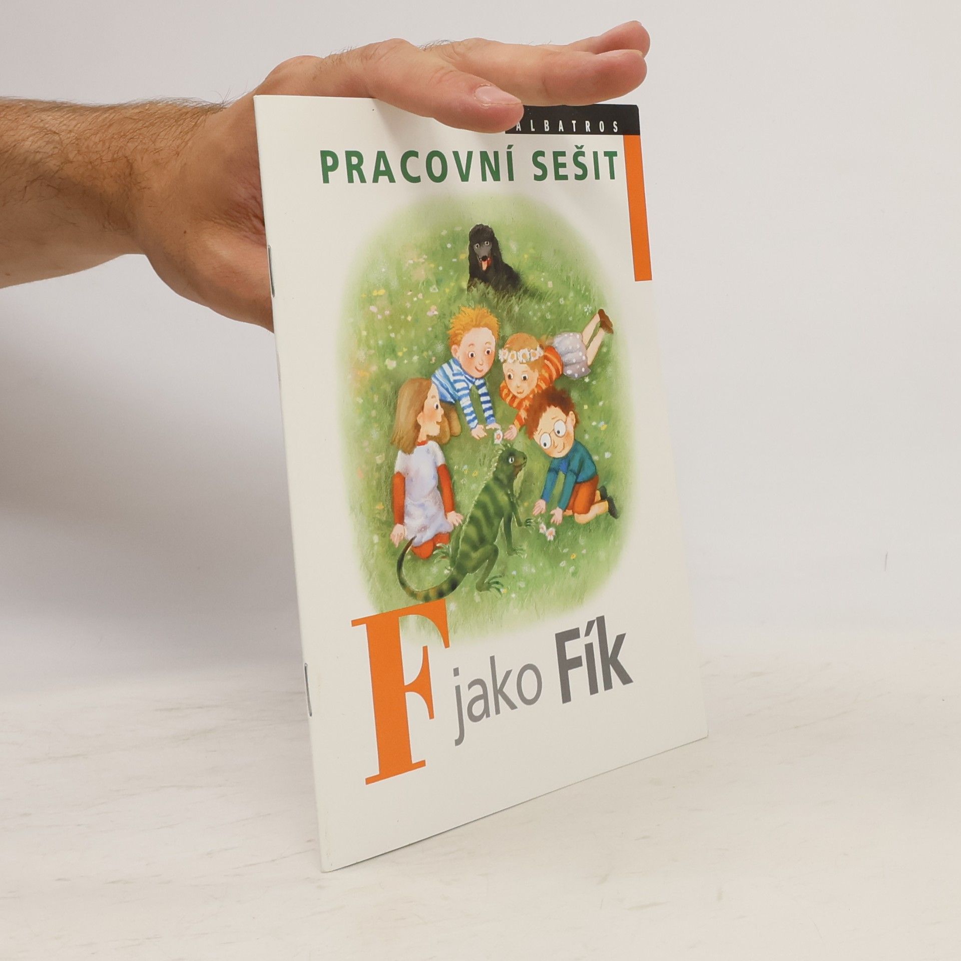 Ivona Březinová F jako Fík