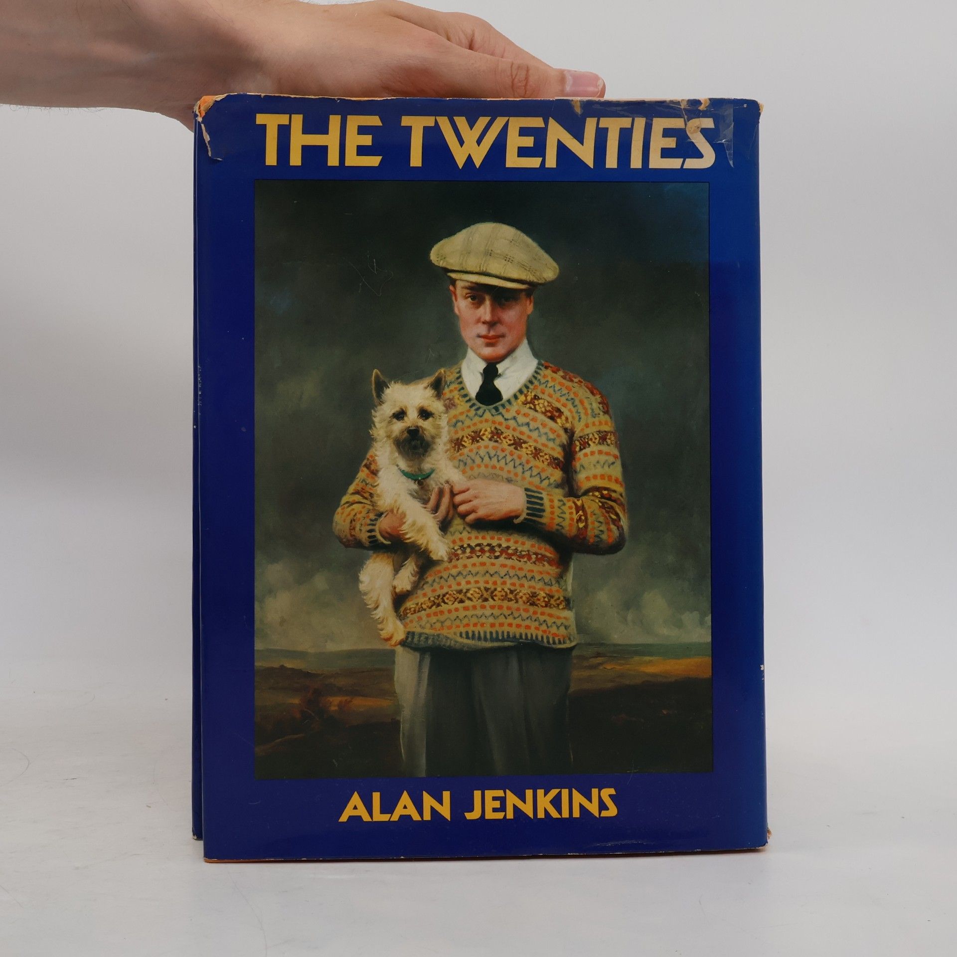 Alan Jenkins The Twenties
