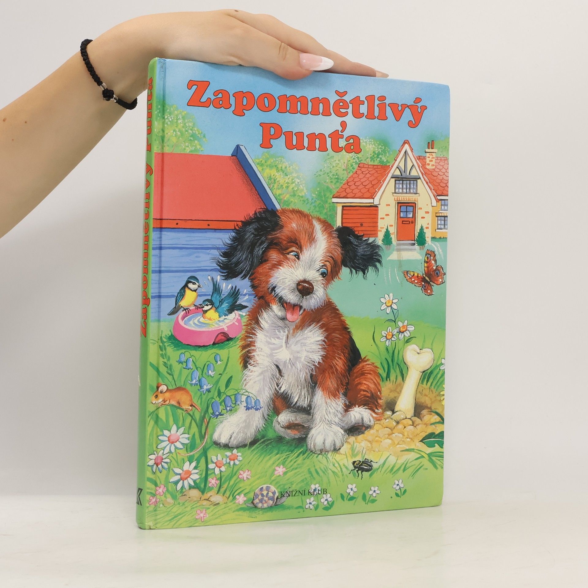 Elke Meinardus Zapomnětlivý Punťa