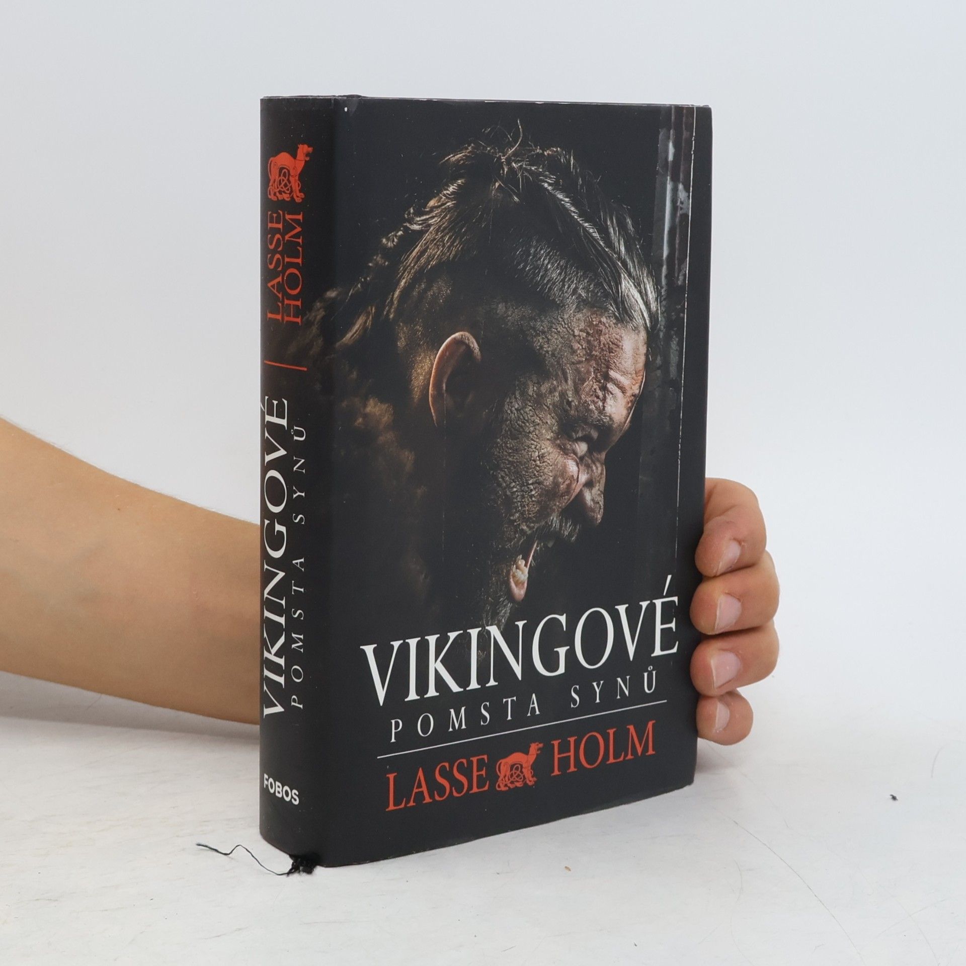 Vikingové. Pomsta synů