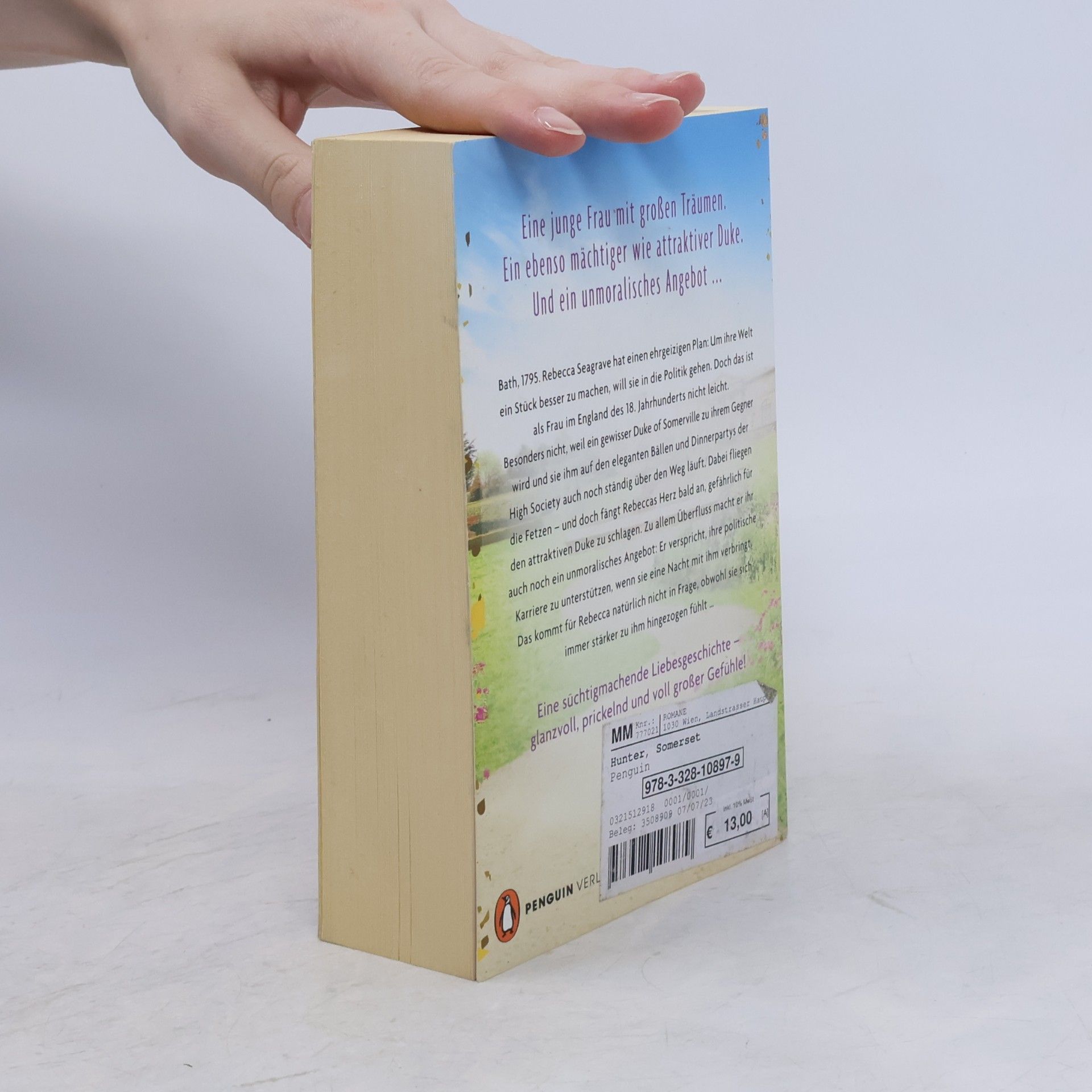 Dawn Baker Verführung und Verrat. Die Somerset-Saga (2)