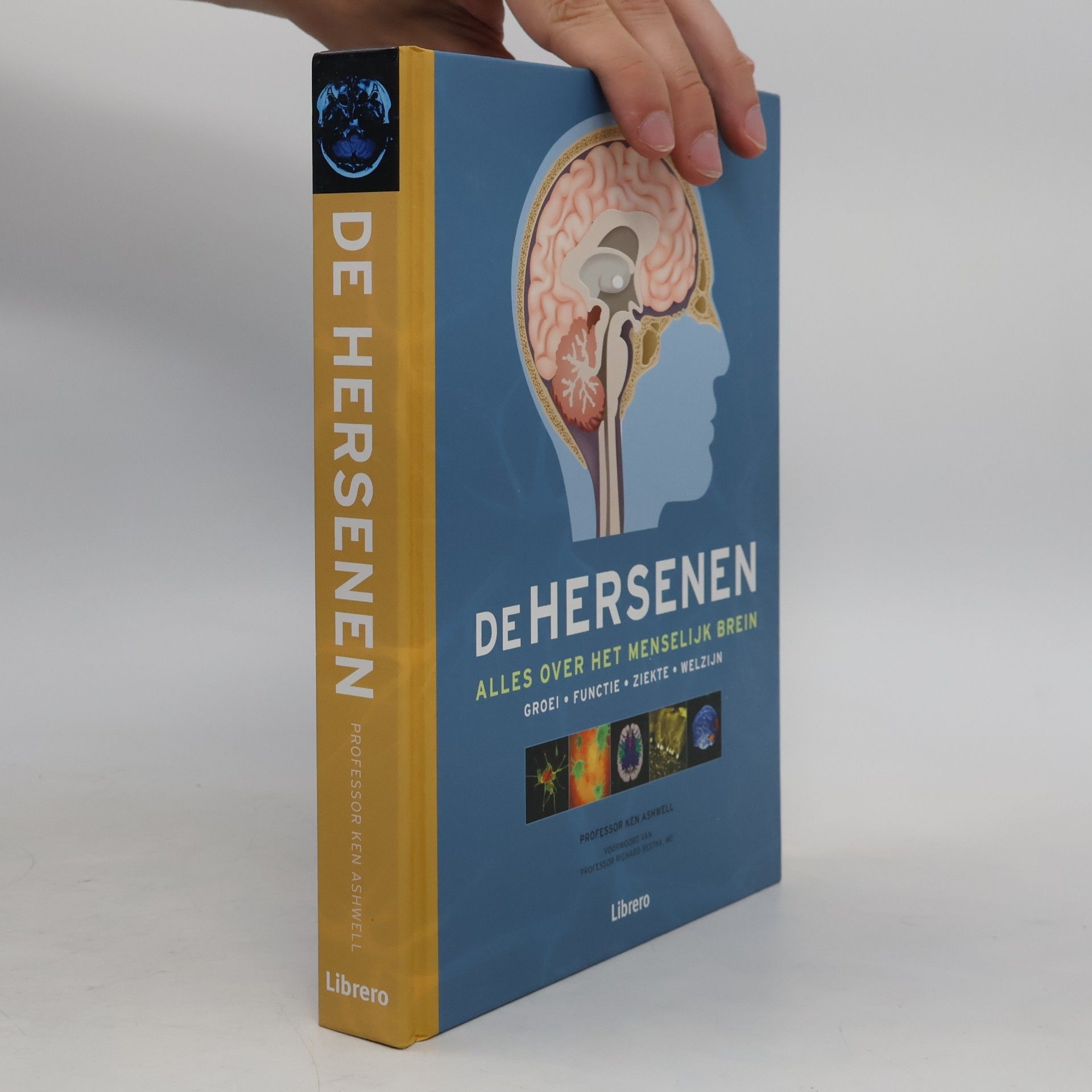 Ken W.S. Ashwell De hersenen