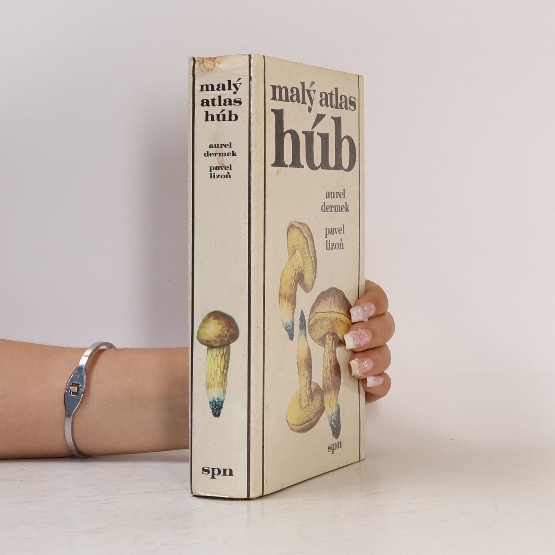 Aurel Dermek Malý atlas húb