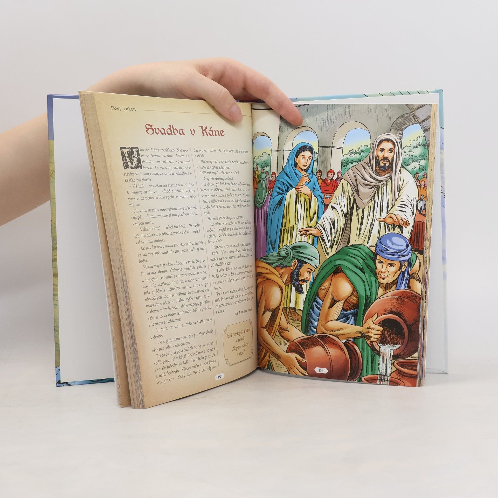Emese Sipos Obrázková rodinná Biblia pre malých i veľkých