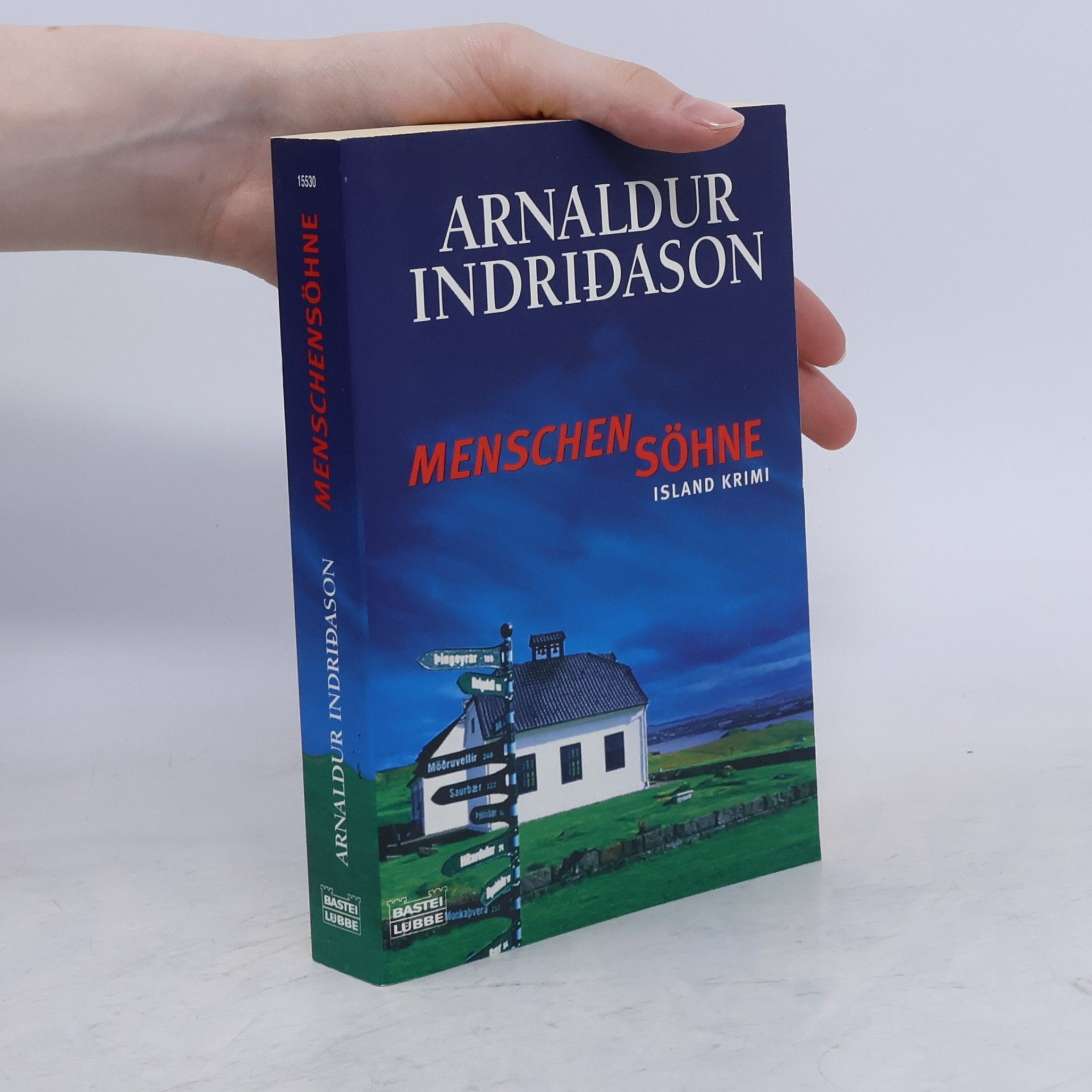 Arnaldur Indriðason Menschensöhne