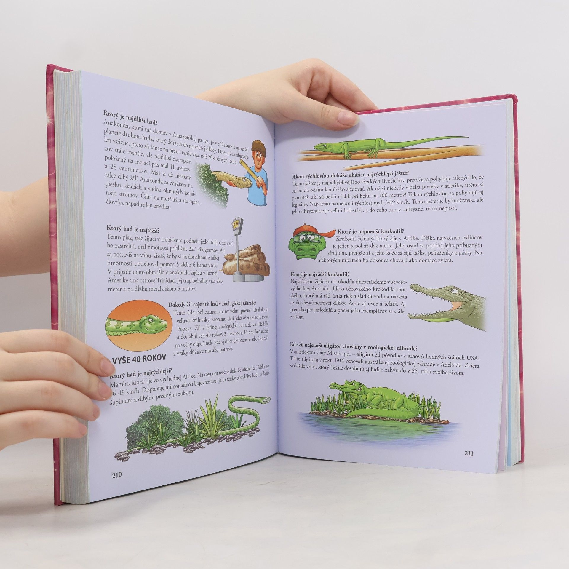 Autorenkollektiv Kniha otázok a odpovedí