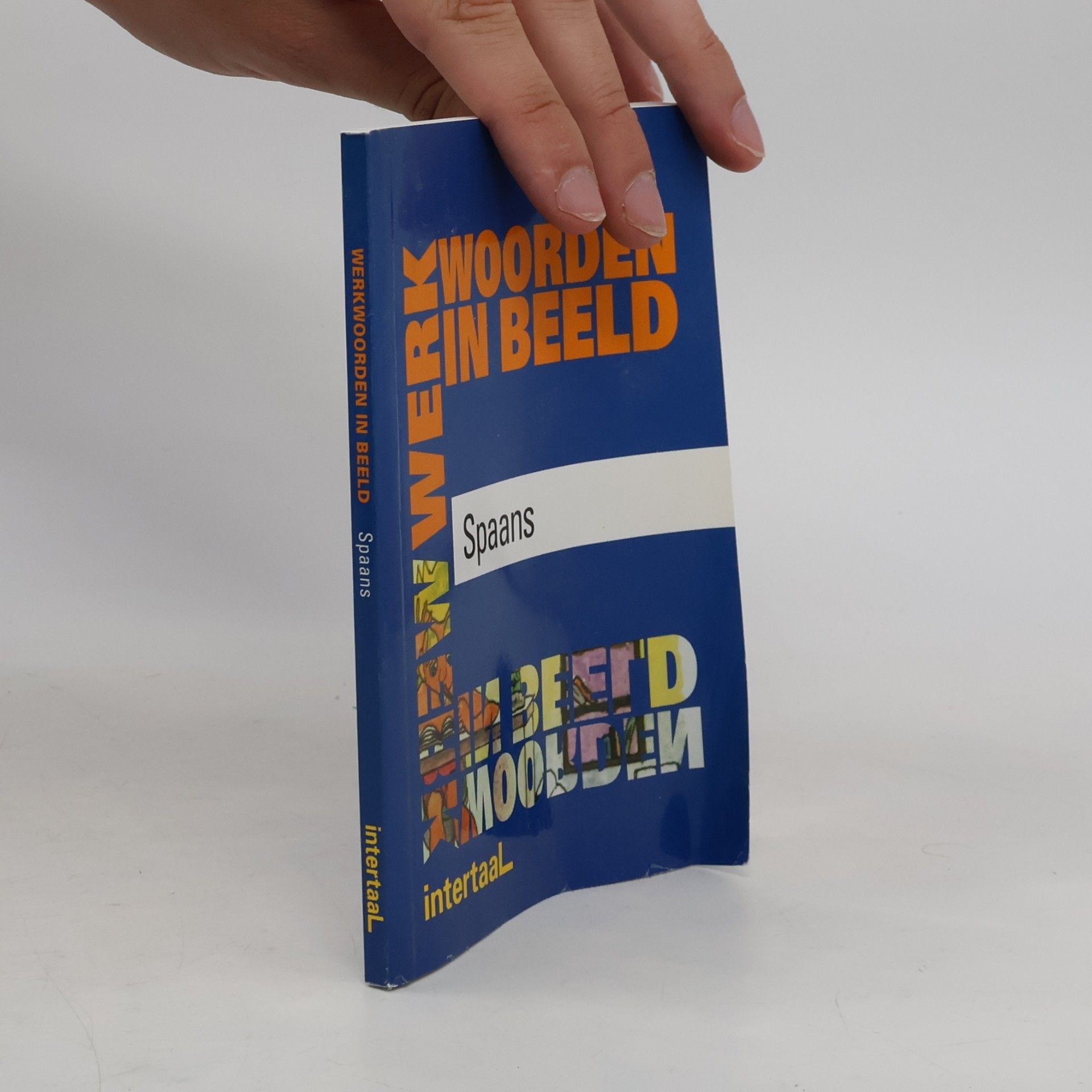 Auteurscollectief Werkwoorden in Beeld