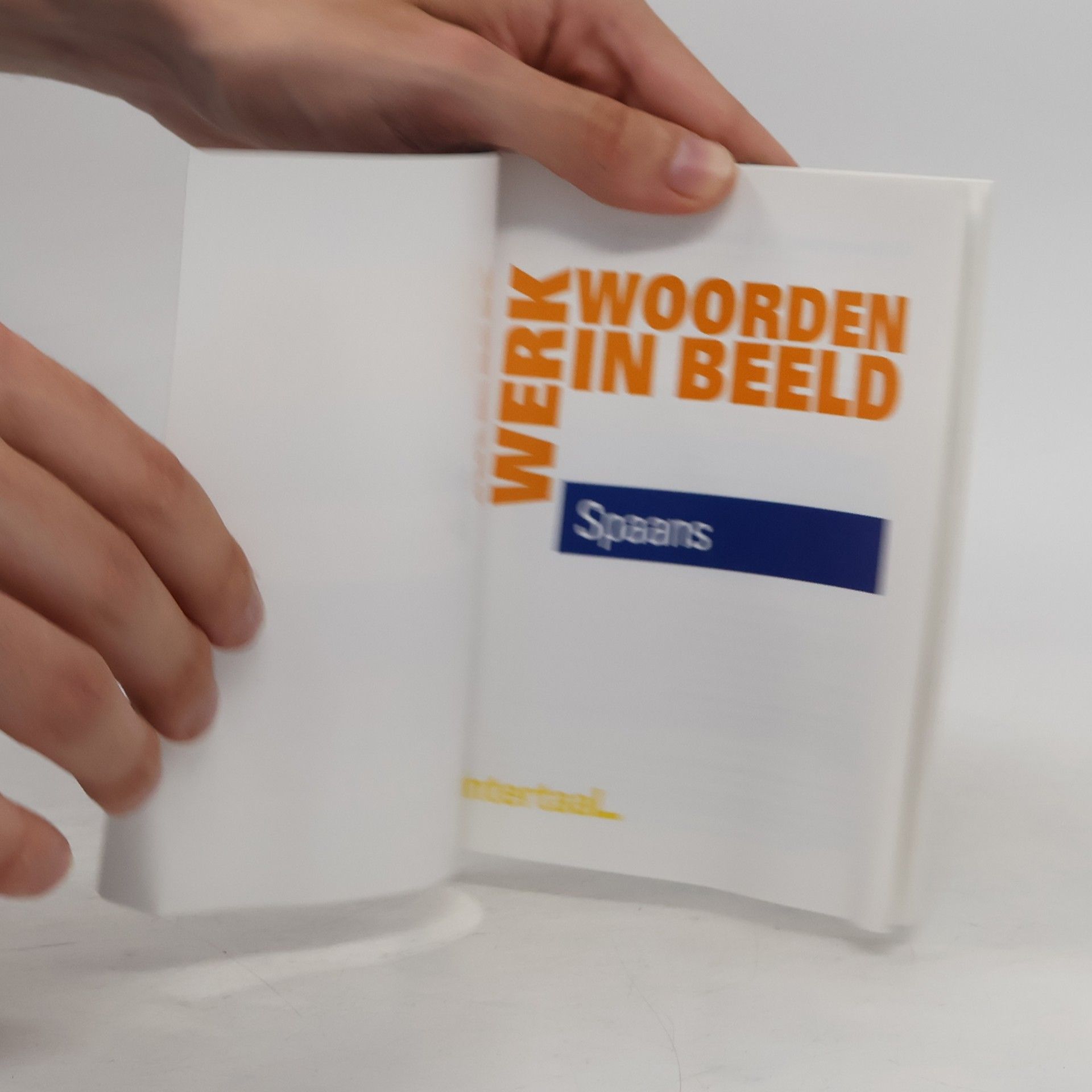 Auteurscollectief Werkwoorden in Beeld
