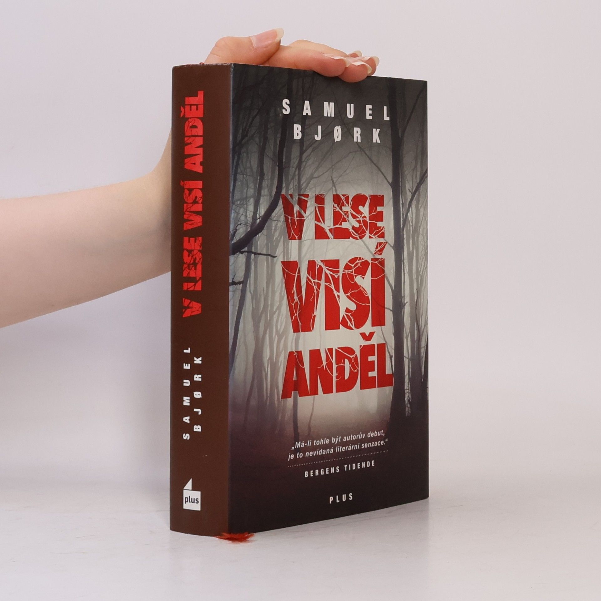 Samuel Bjork V lese visí anděl
