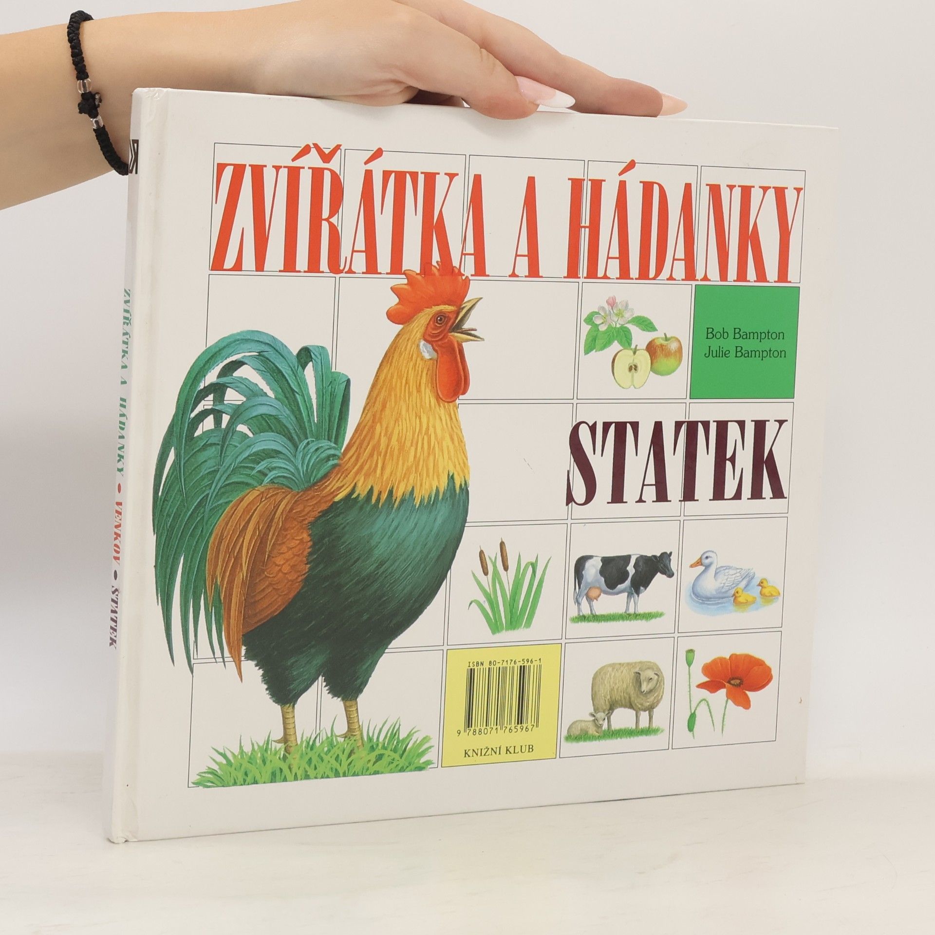 Julie Bampton Zvířátka a hádanky. Venkov / Statek