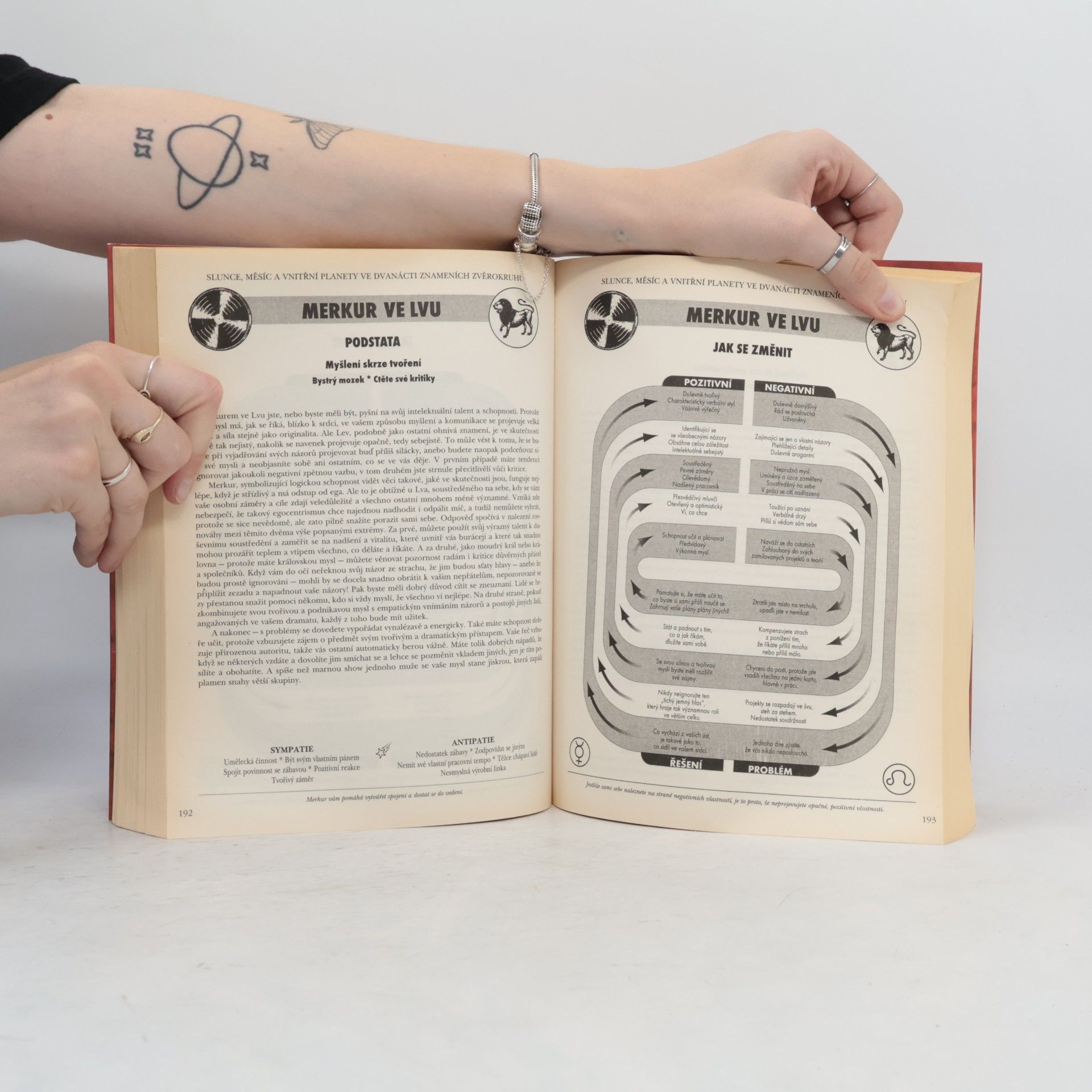 Lyn Birkbeck Astrologie. Praktická příručka.