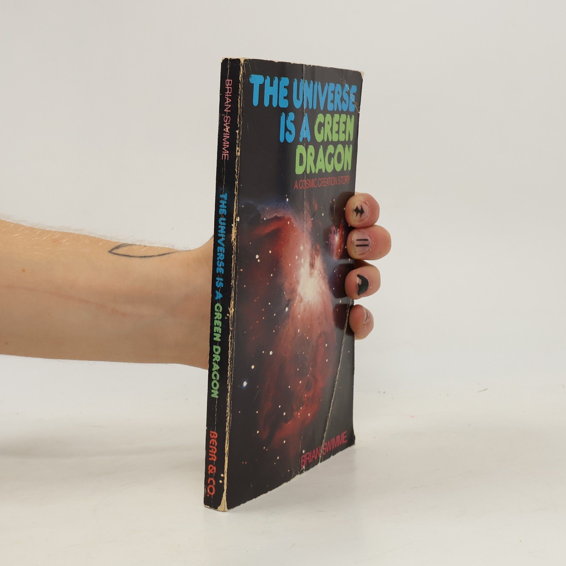 Brian Thomas Swimme The Universe is a Green Dragon