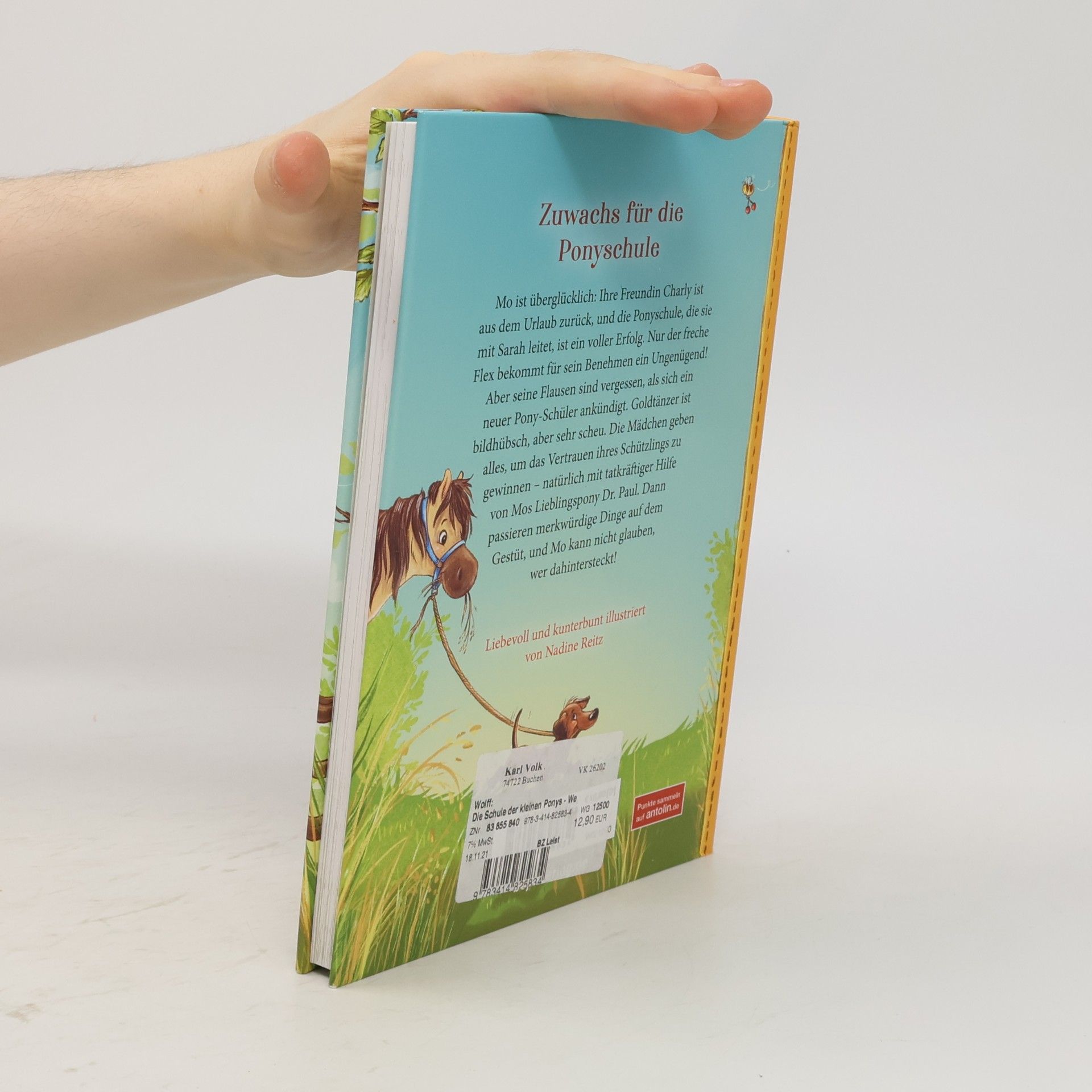 Anne Wolff Die Schule der kleinen Ponys - Wen hat hier der Hafer gestochen?