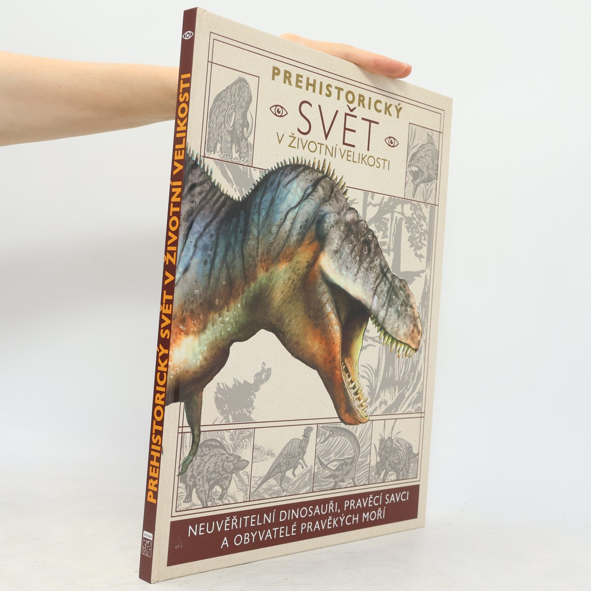 Nancy Dickmann Prehistorický svět v životní velikosti