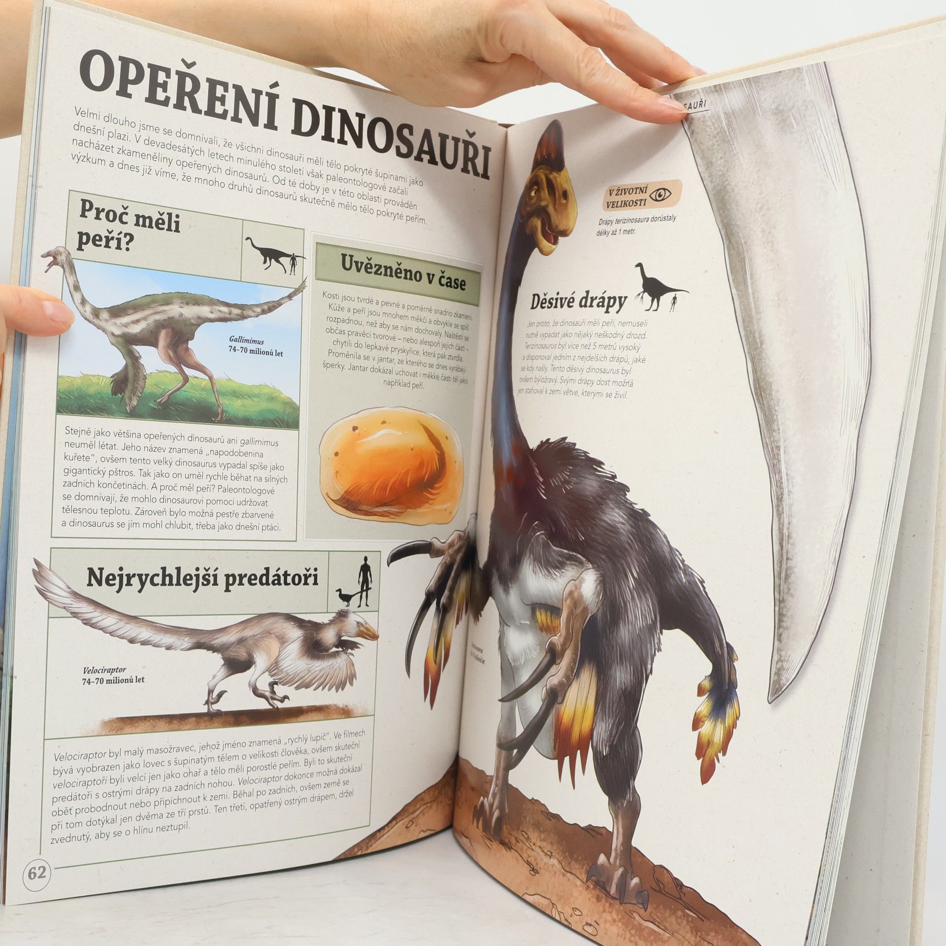 Dougal Dixon Prehistorický svět v životní velikosti