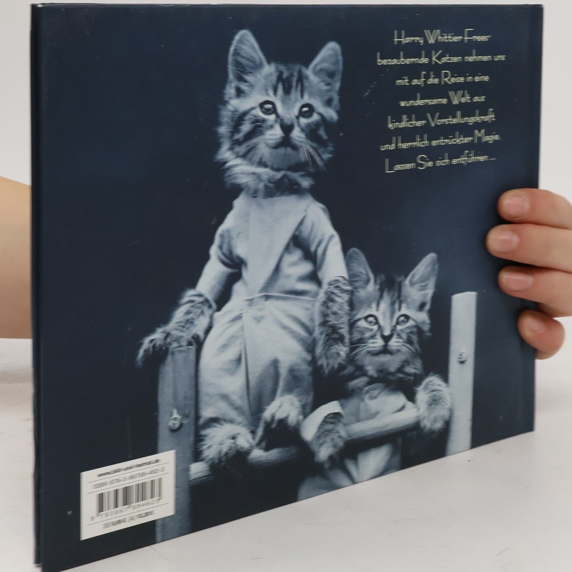 Harry Whittier Frees Katzen
