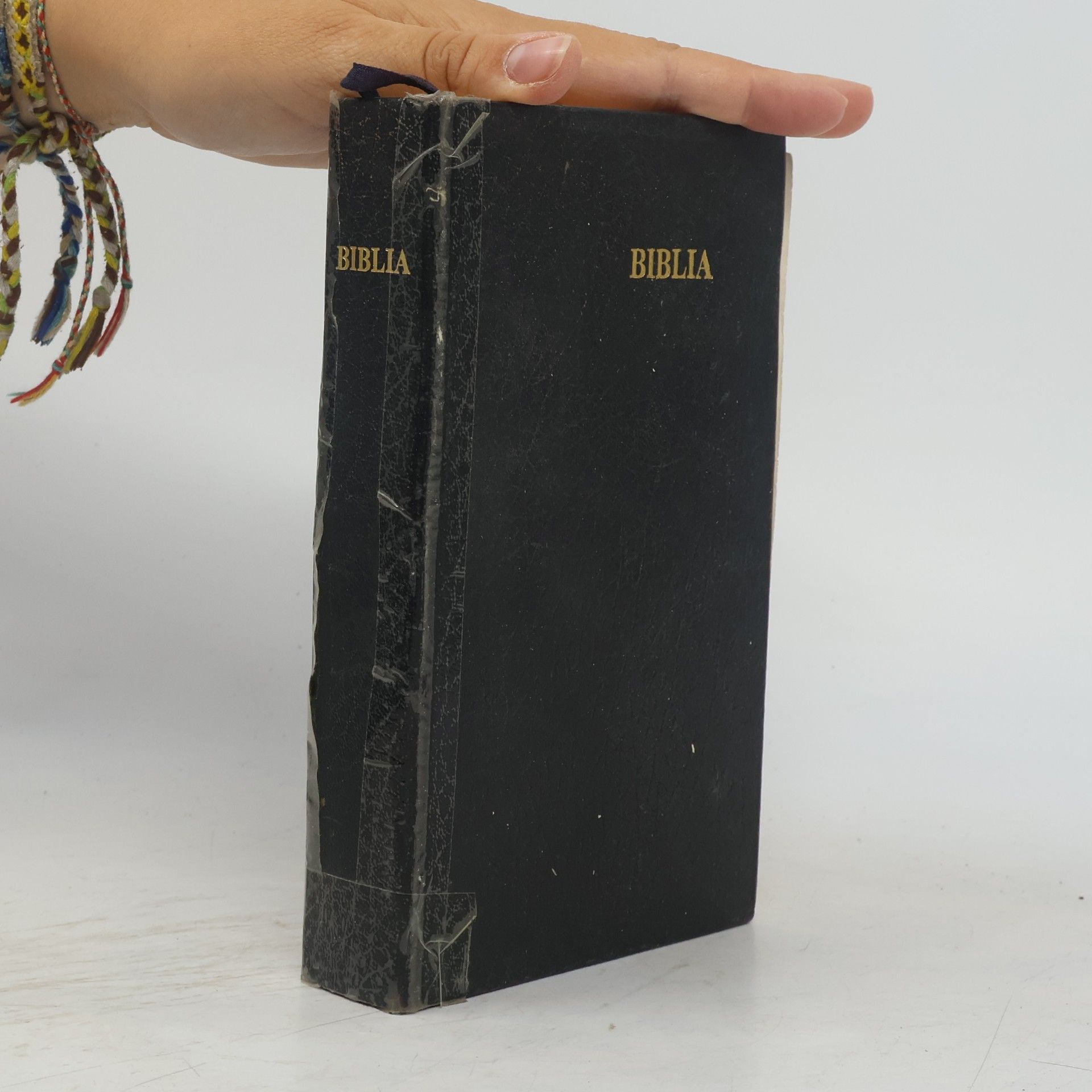 Kolektiv autorů Biblia