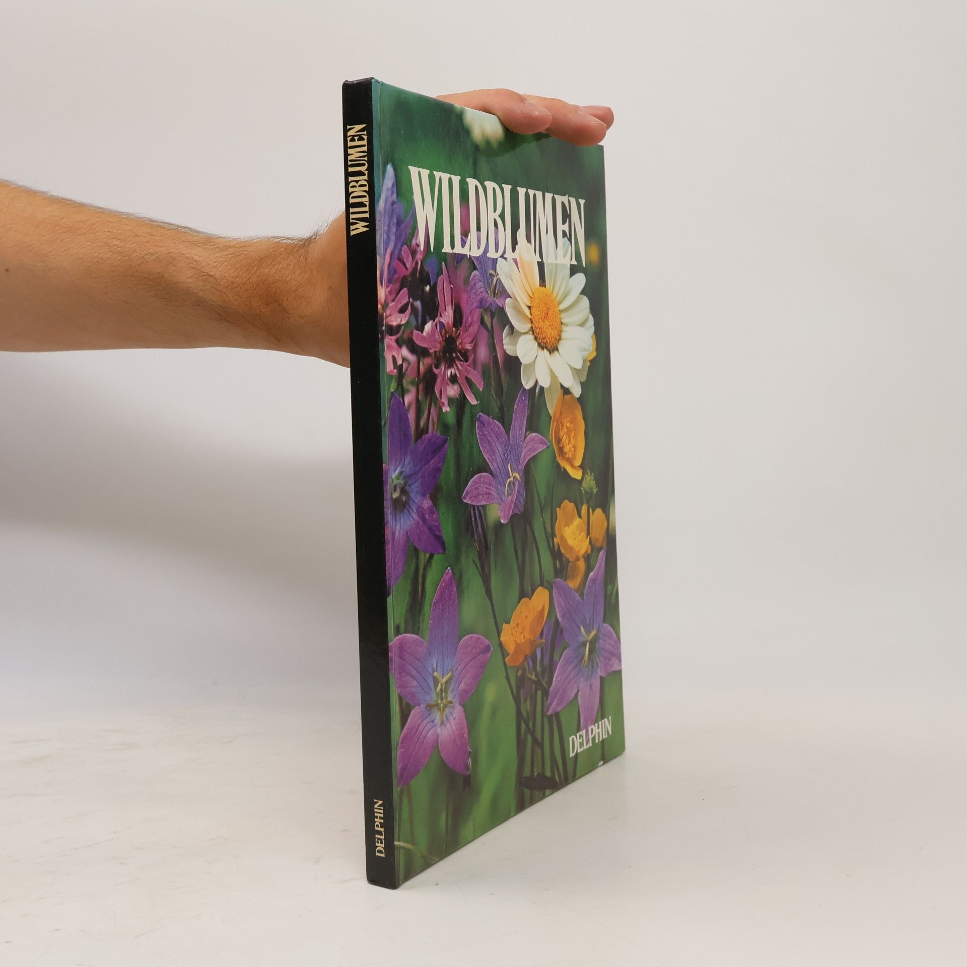 Jacqueline Seymour Wildblumen