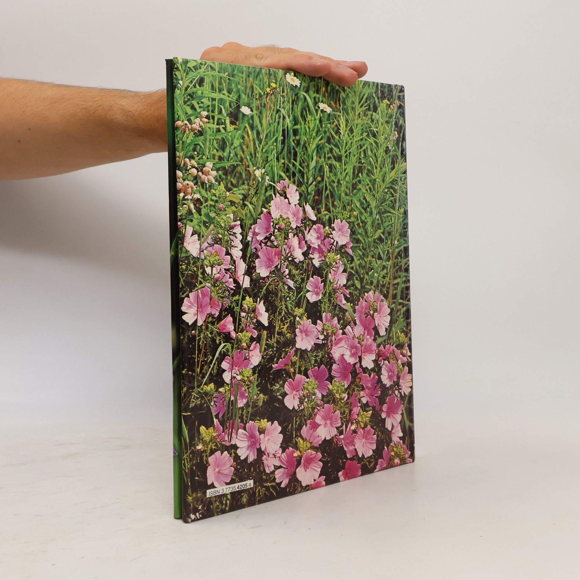 Jacqueline Seymour Wildblumen
