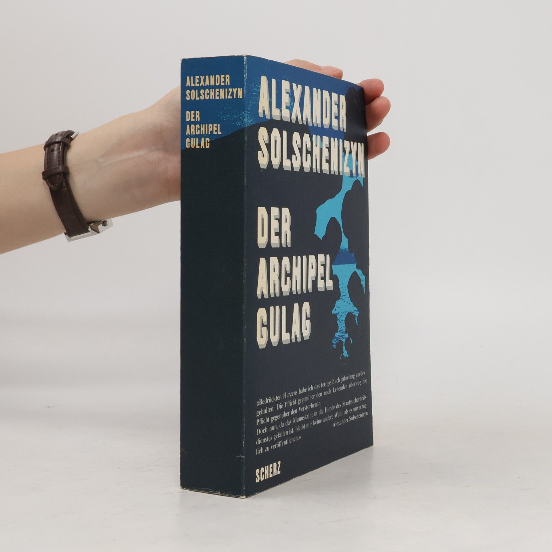 Alexandr Isajevič Solženicyn Der Archipel Gulag