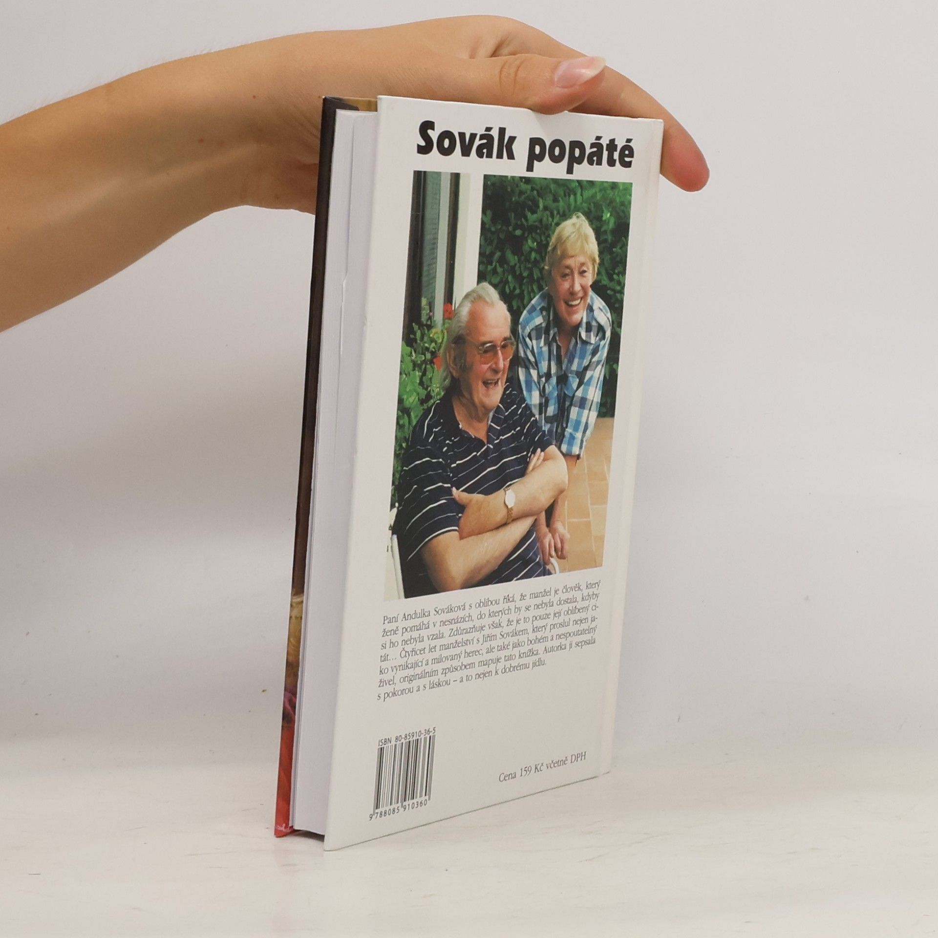 Anna Sováková Sovák popáté. Život se Sovákem, aneb, Uragán