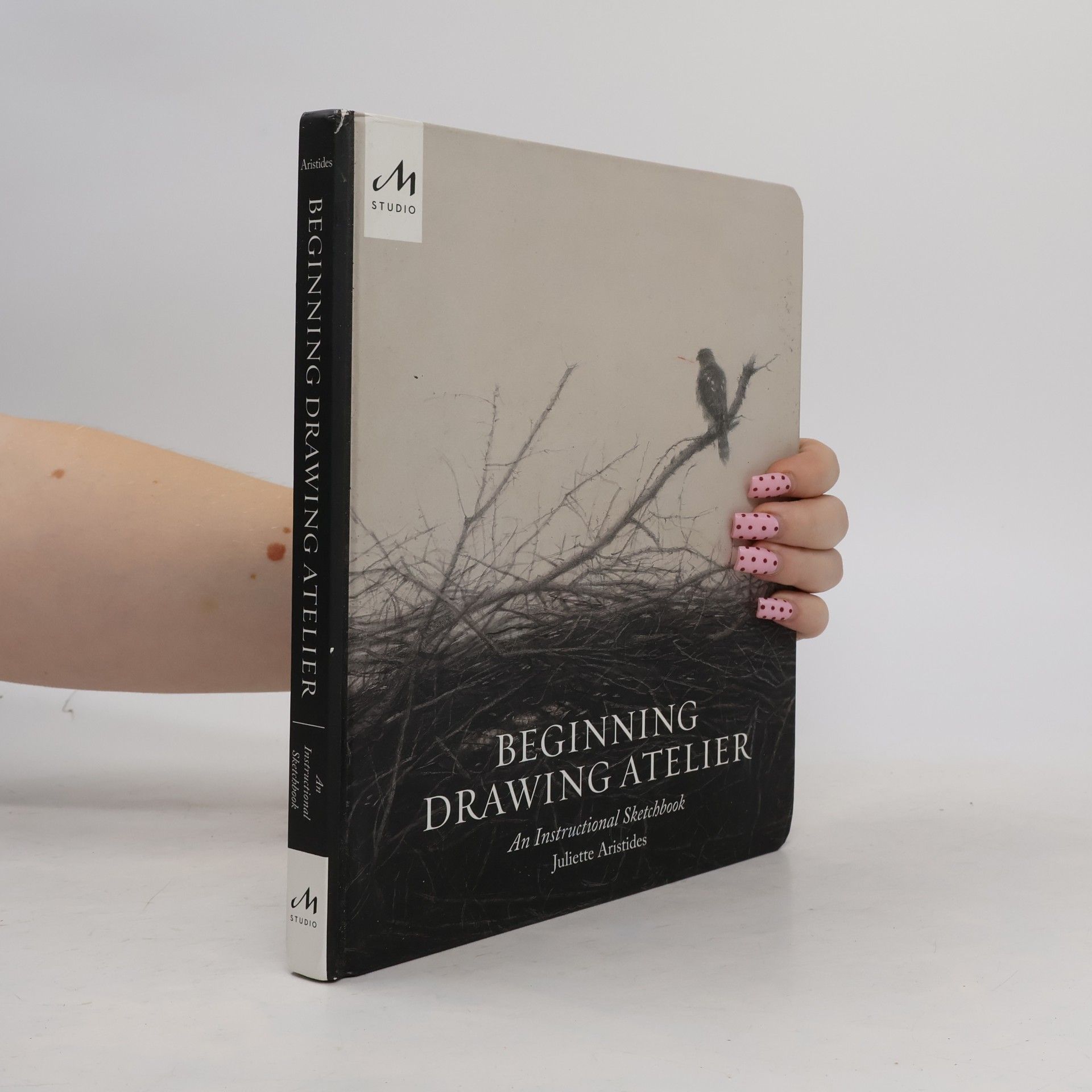 Juliette Aristides Beginning Drawing Atelier