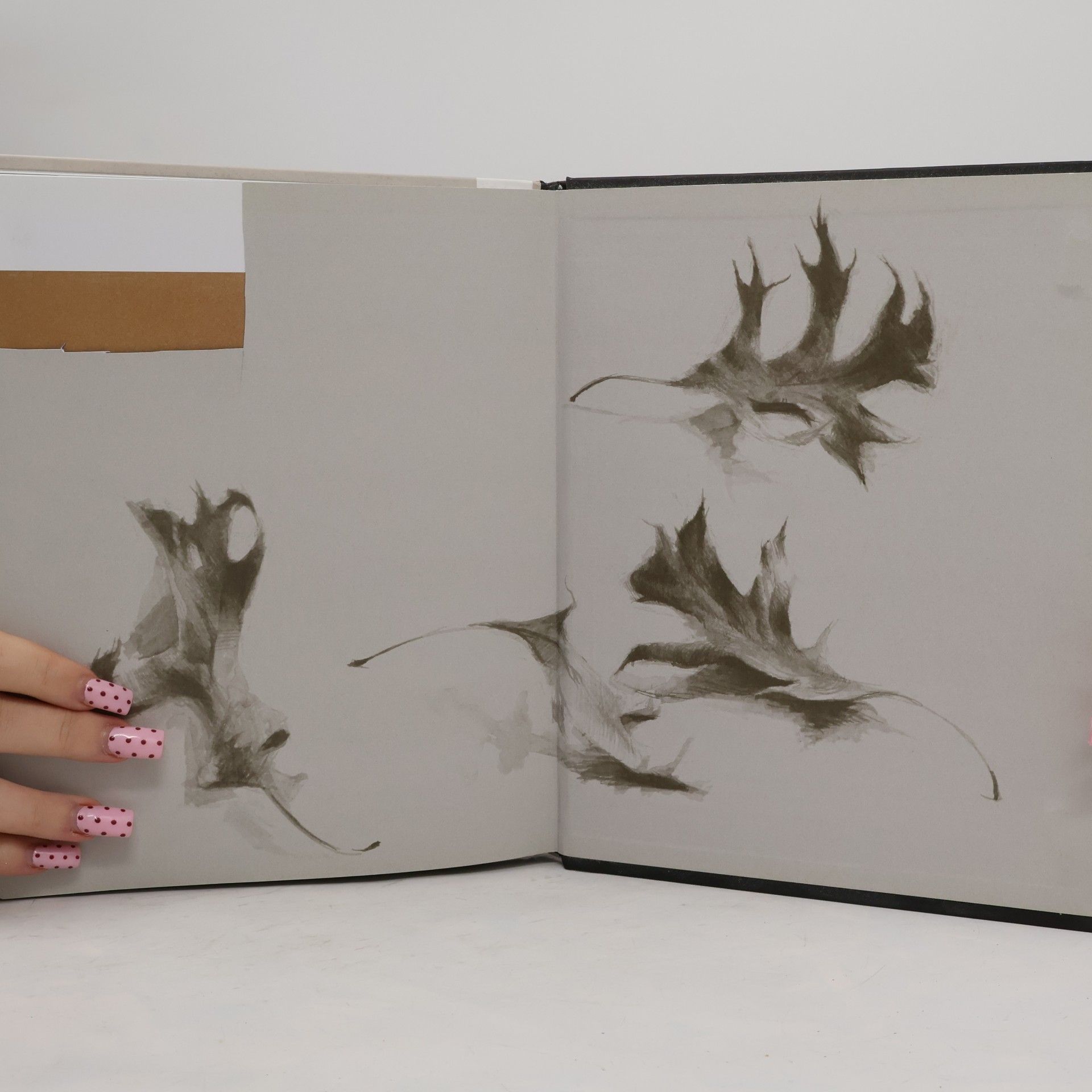 Juliette Aristides Beginning Drawing Atelier