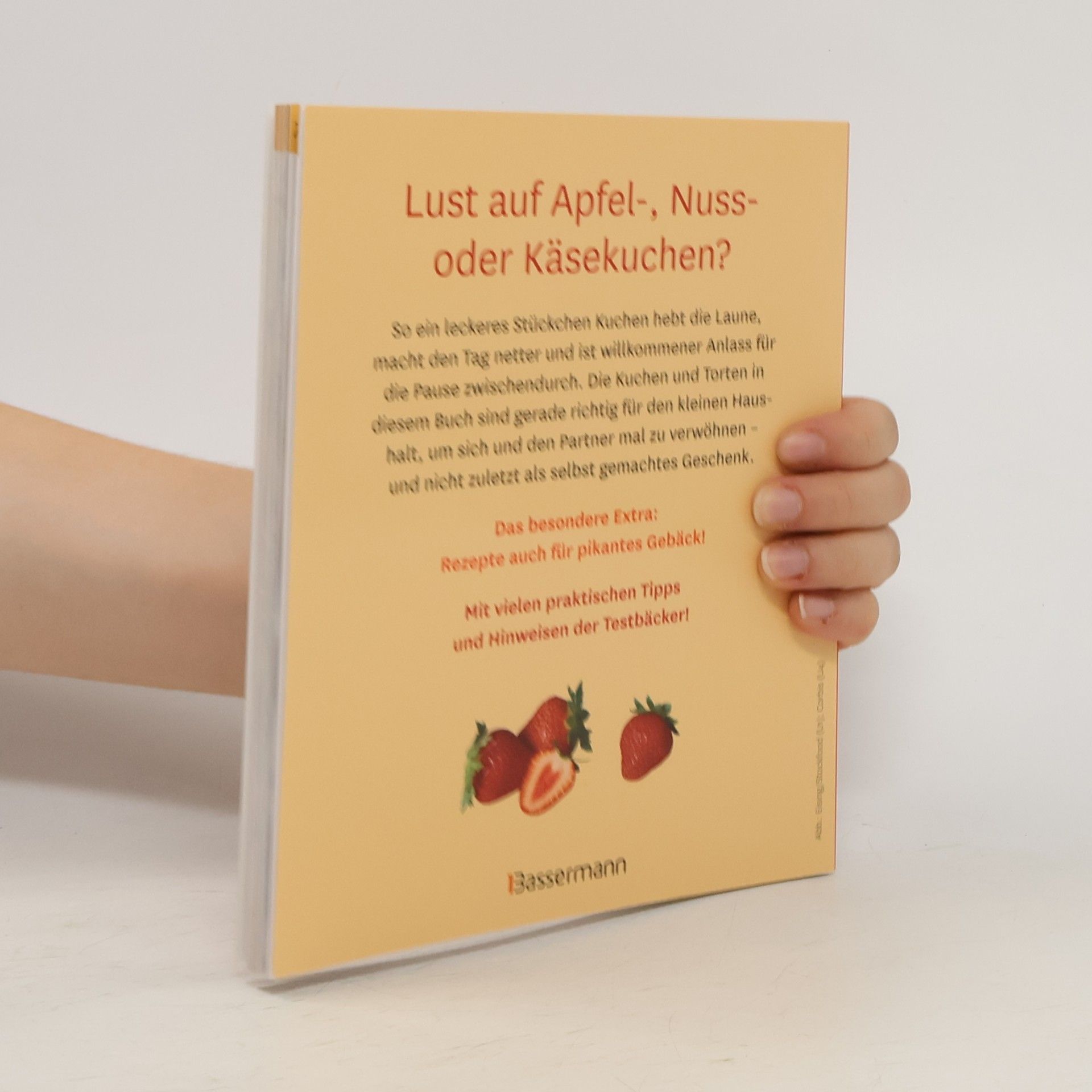 Kolektiv autorů Kleine Kuchen und Torten