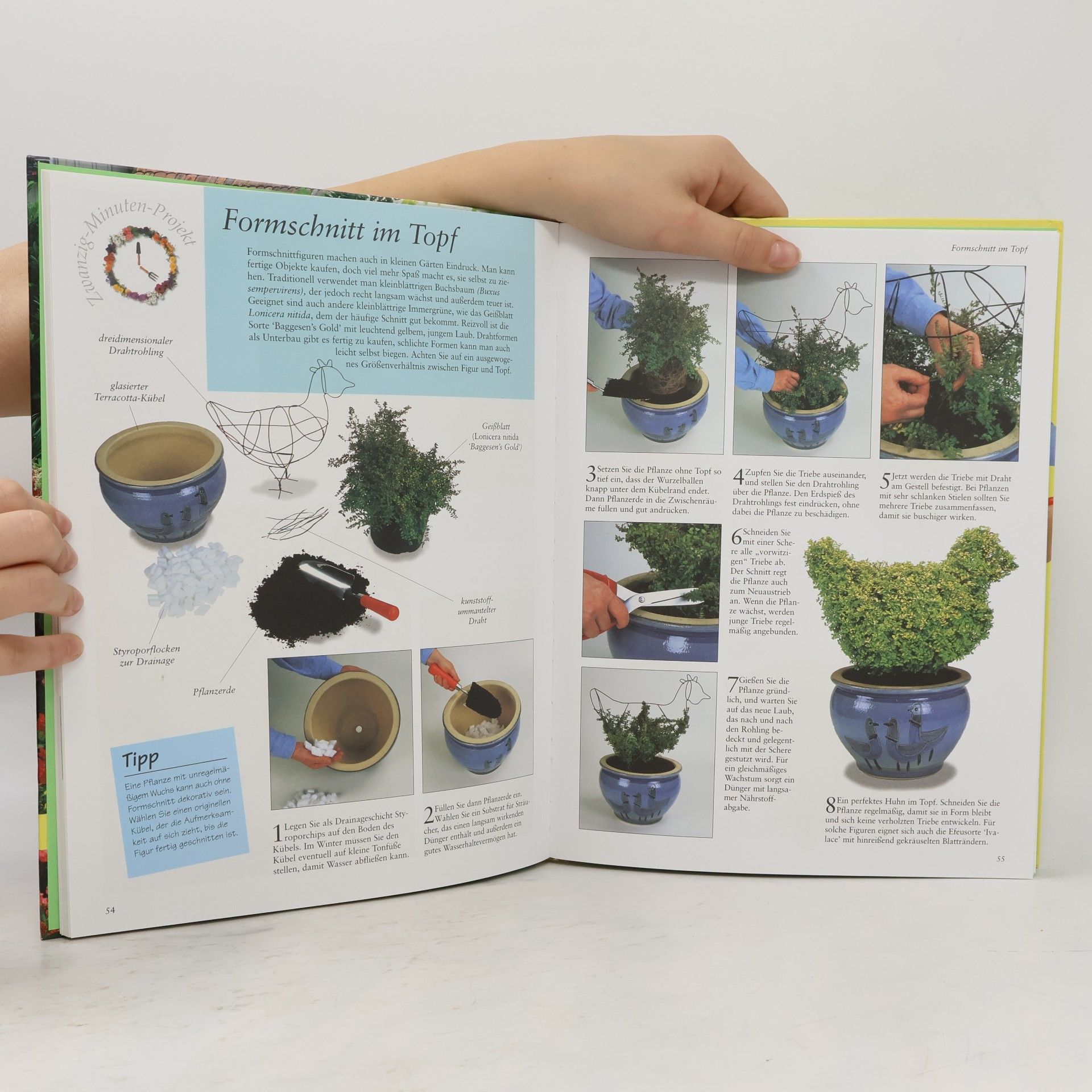 Gill Page Ideen und Anleitungen für den 20-Minuten-Garten