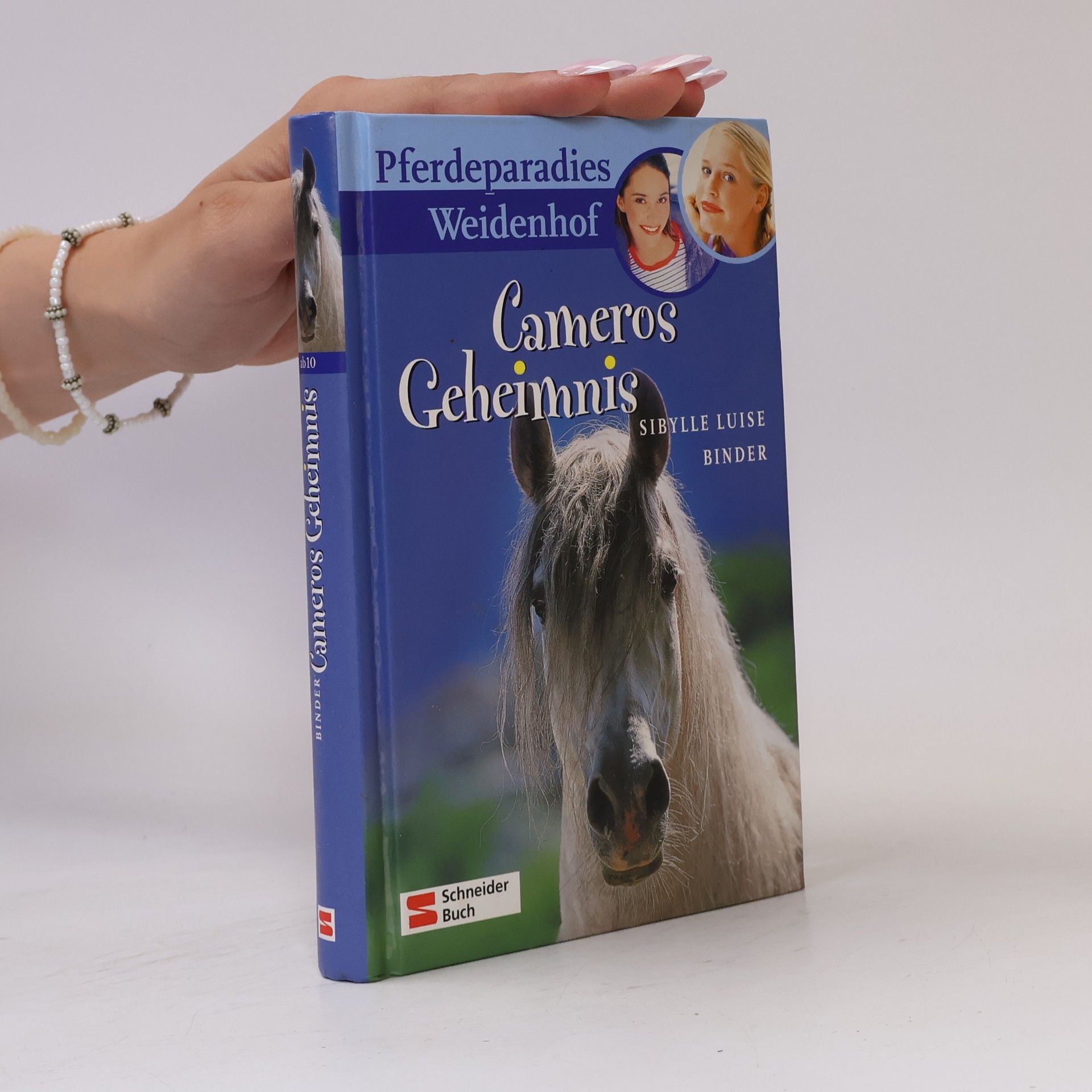 Sibylle Luise Binder Cameros Geheimnis