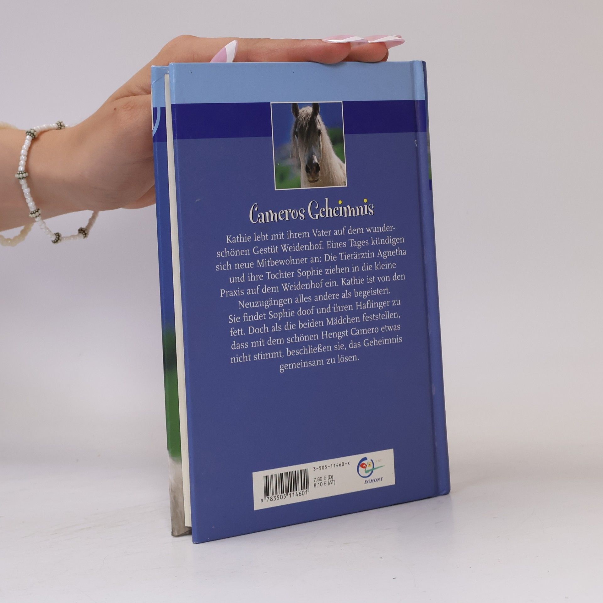 Sibylle Luise Binder Cameros Geheimnis