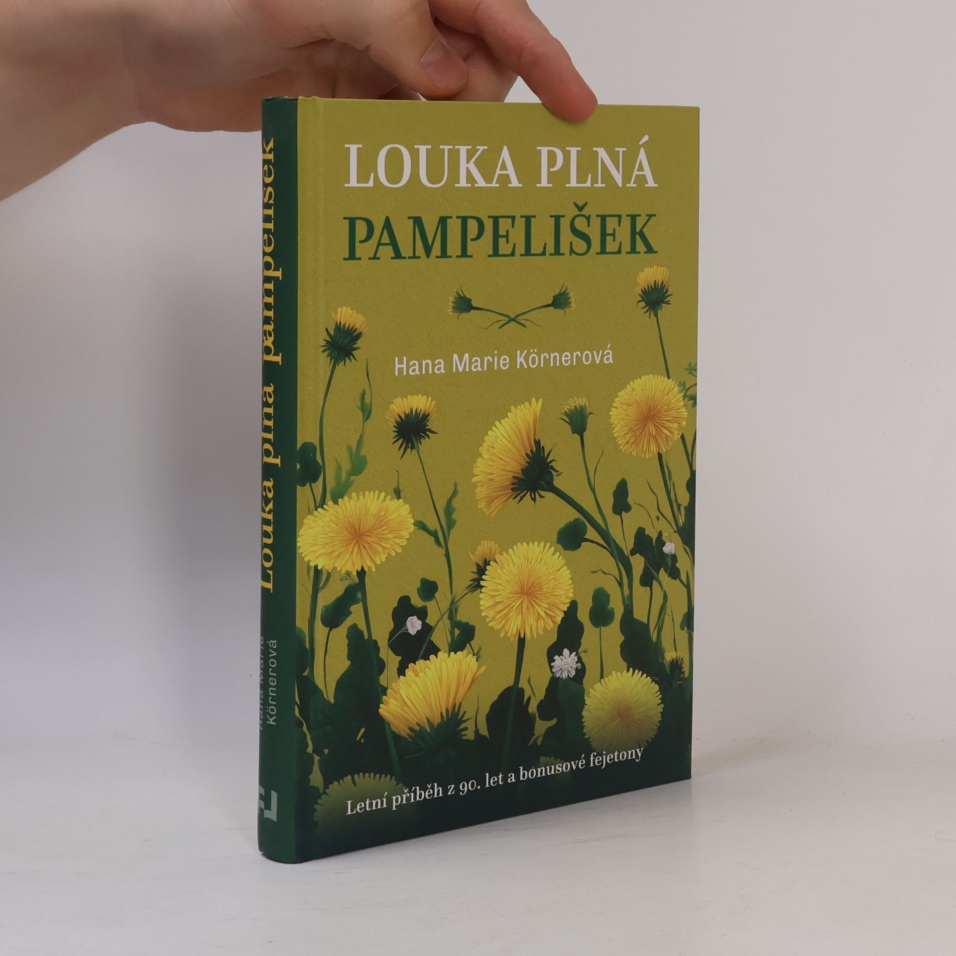 Louka plná pampelišek