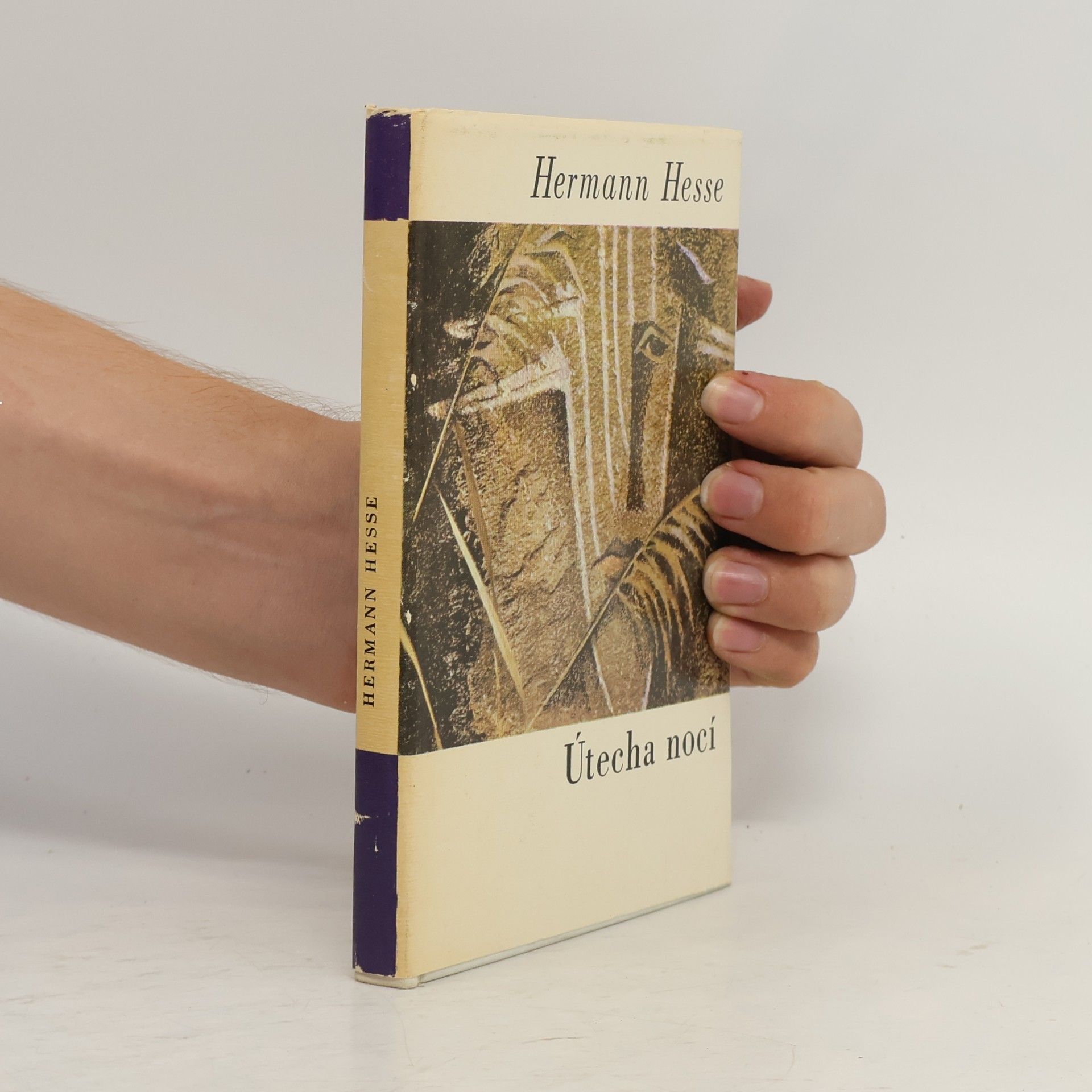 Hermann Hesse Útecha nocí