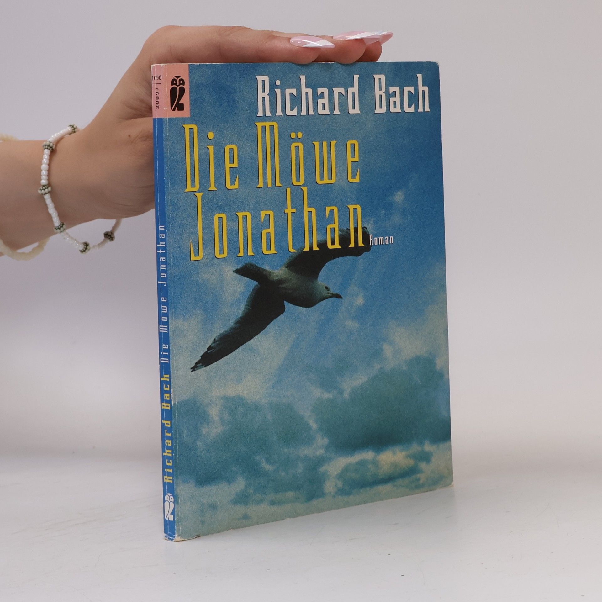 Richard Bach Die Möwe Jonathan
