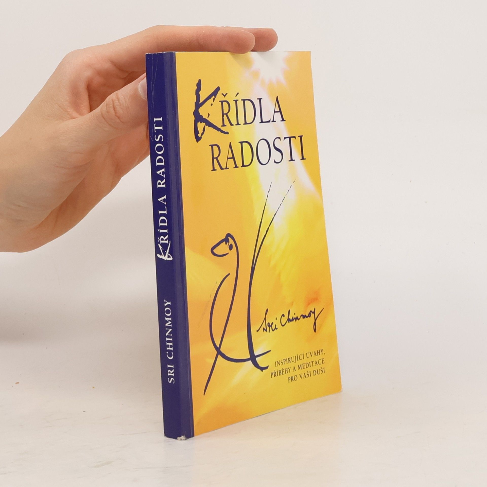 Sri Chinmoy Křídla radosti