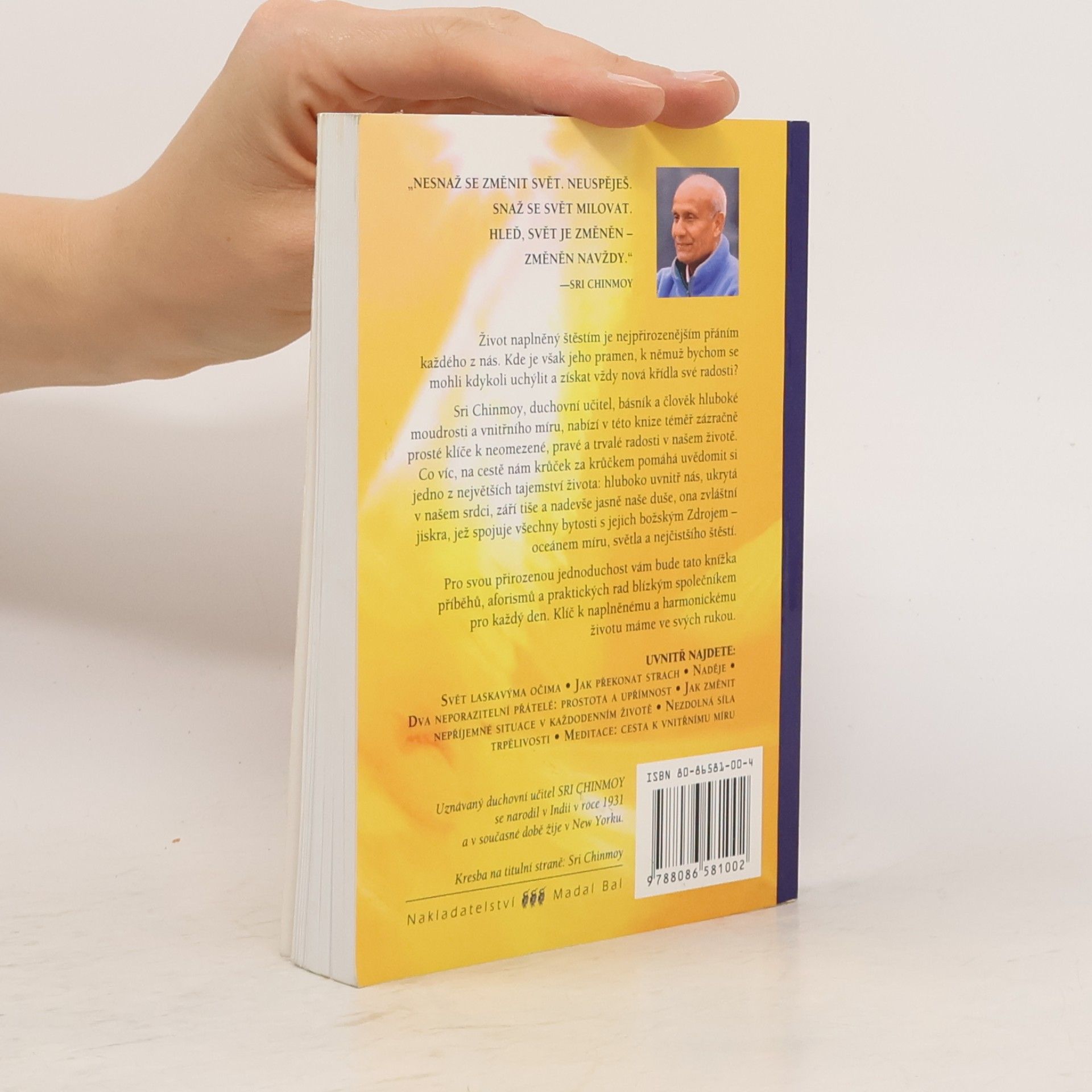 Sri Chinmoy Křídla radosti
