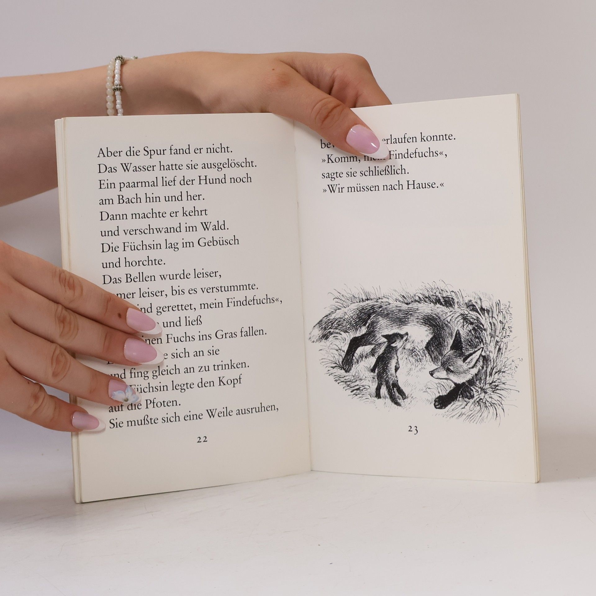 Der Findefuchs