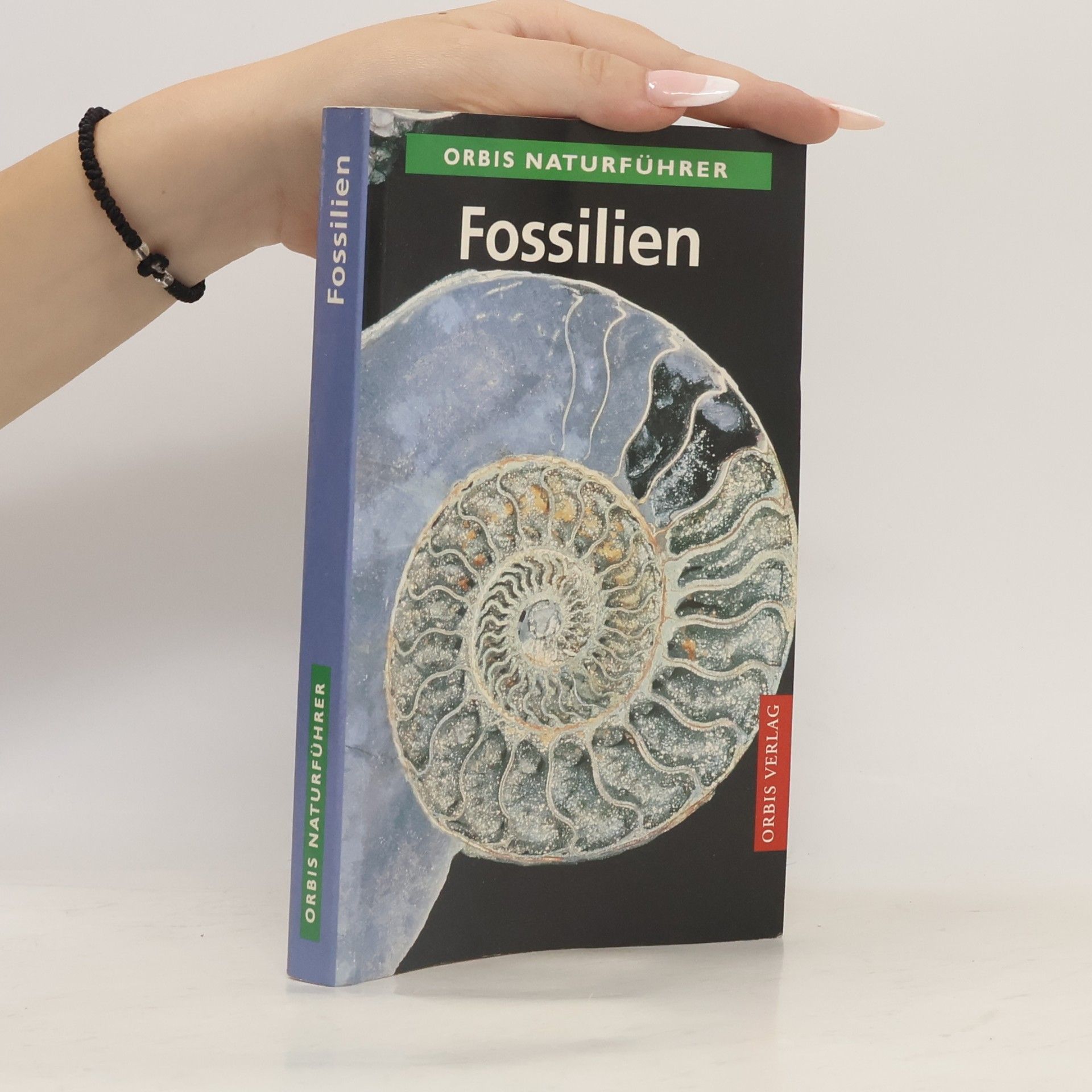 Karl Beurlen Fossilien