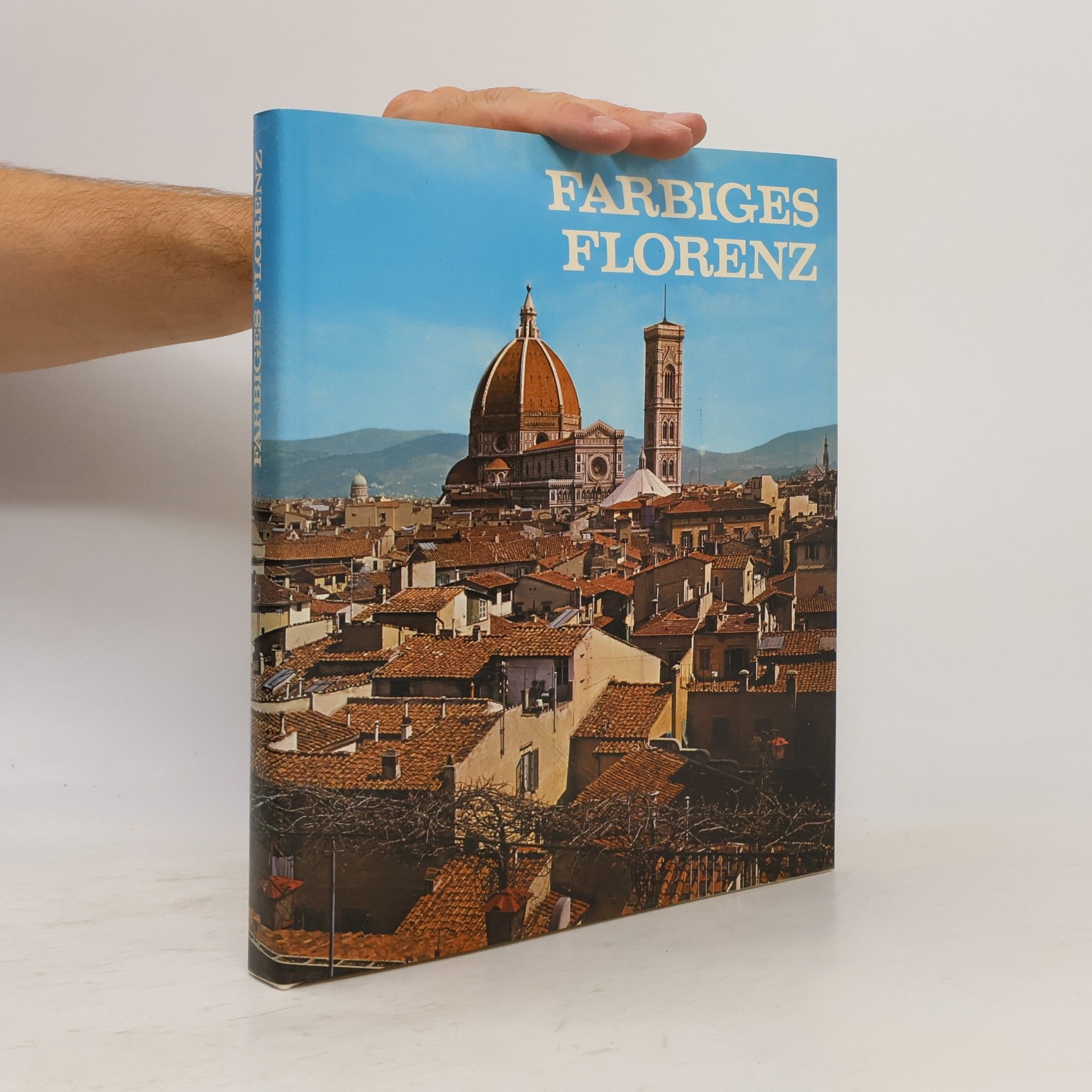 Autores varios Farbiges Florenz