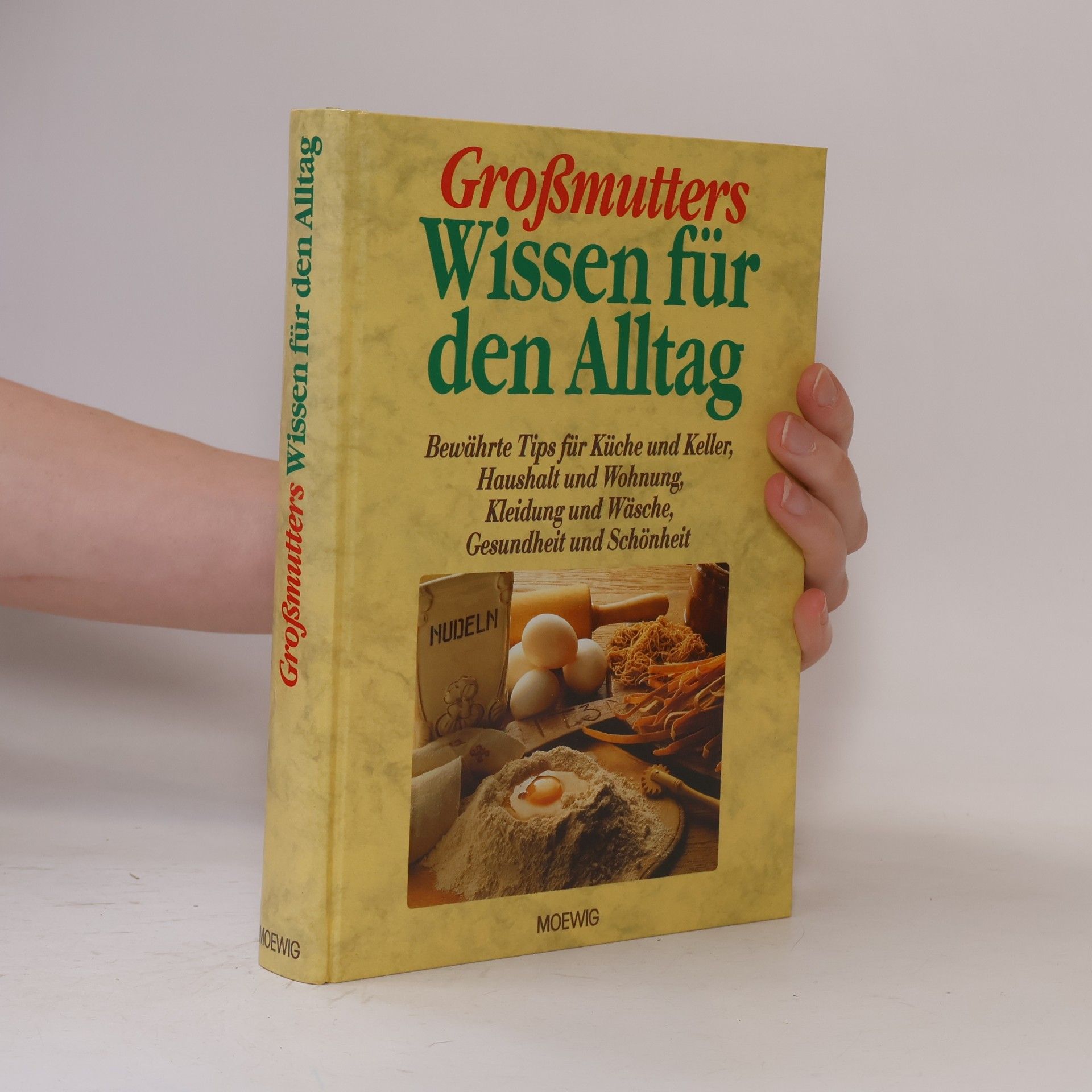 Kolektiv autorů Grossmutters Wissen für den Alltag
