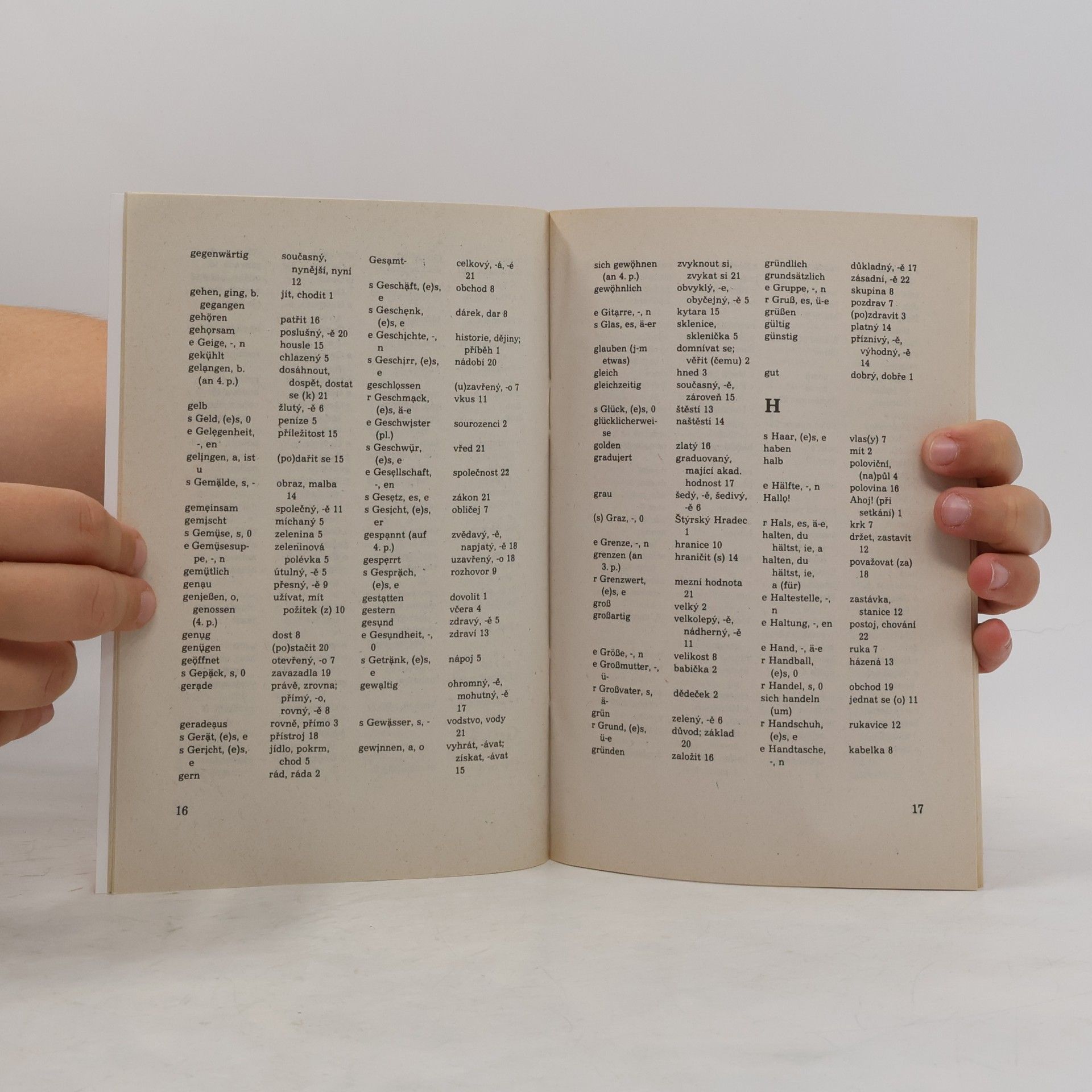 Autorenkollektiv Německy s úsměvem. Německo-český slovníček