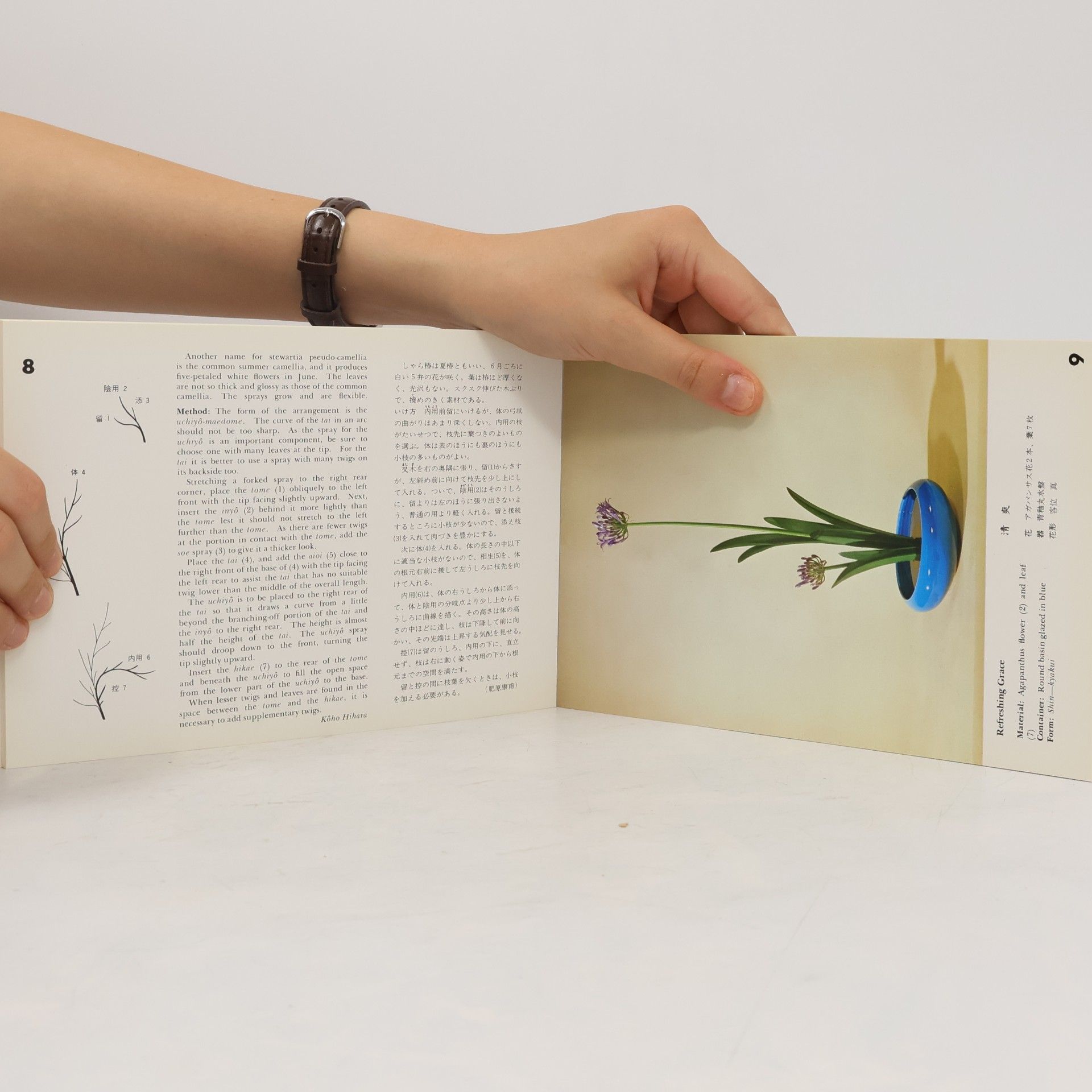 Kōho Hihara Ikebana Card Books: Misho School: Kakubana Style, Pt. 2