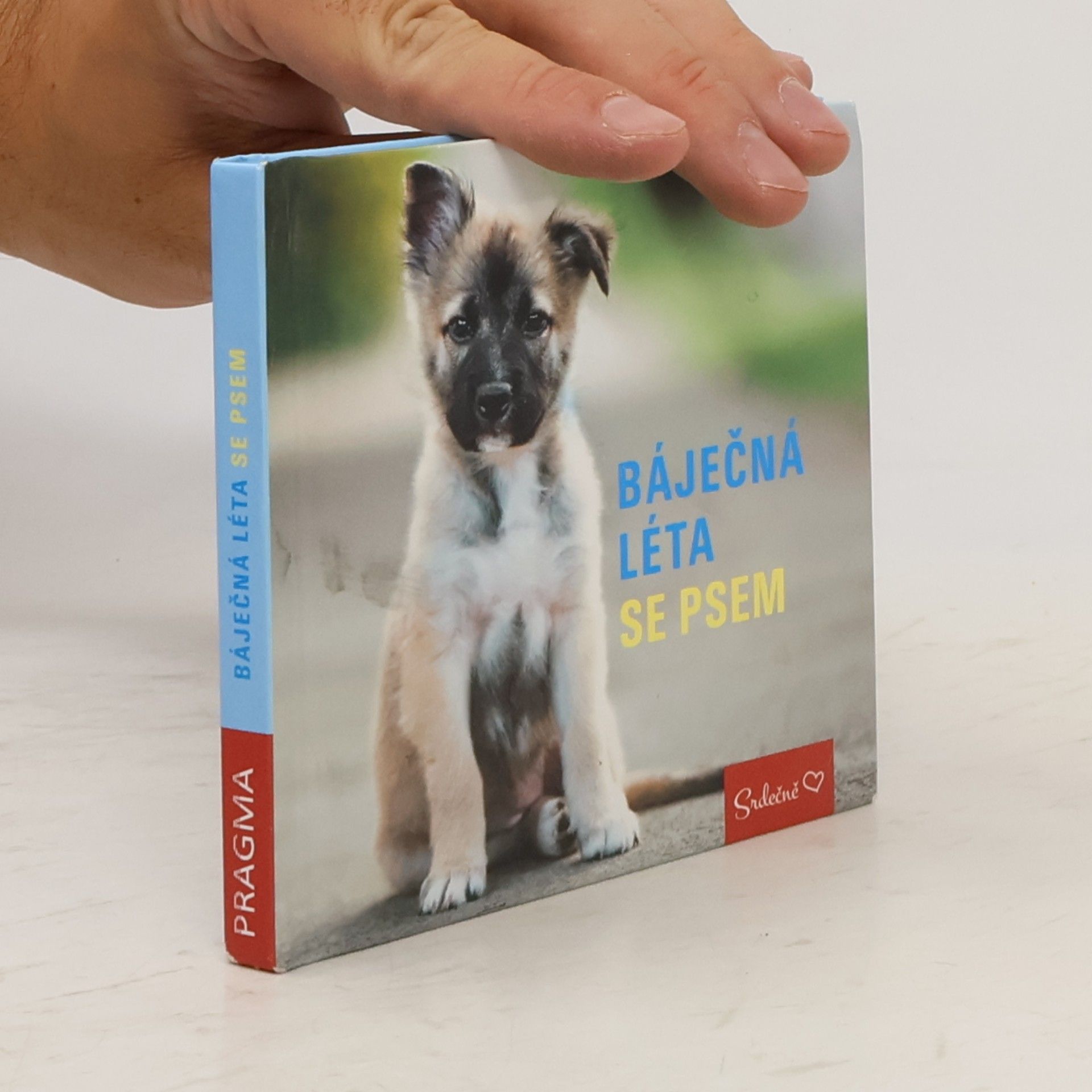 Markéta Kliková Báječná léta se psem
