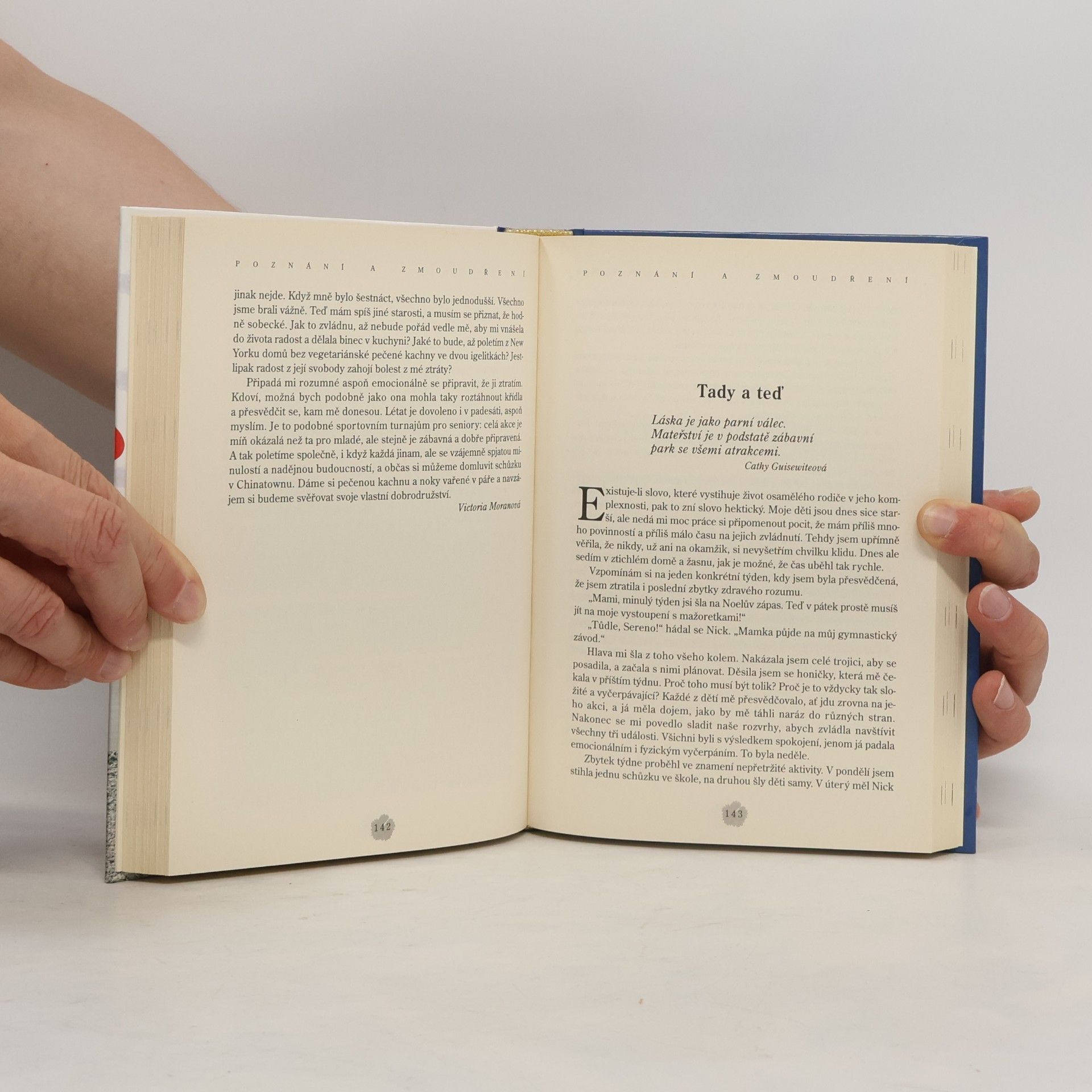 Jack Canfield Slepičí polévka pro duši osamělého rodiče