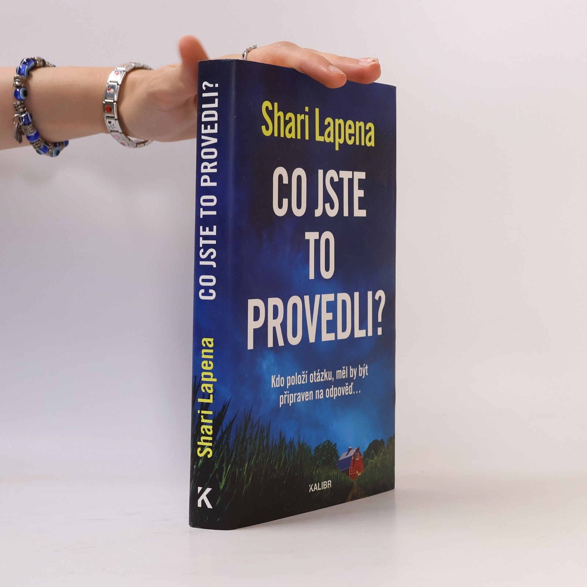 Shari Lapena Co jste to provedli?